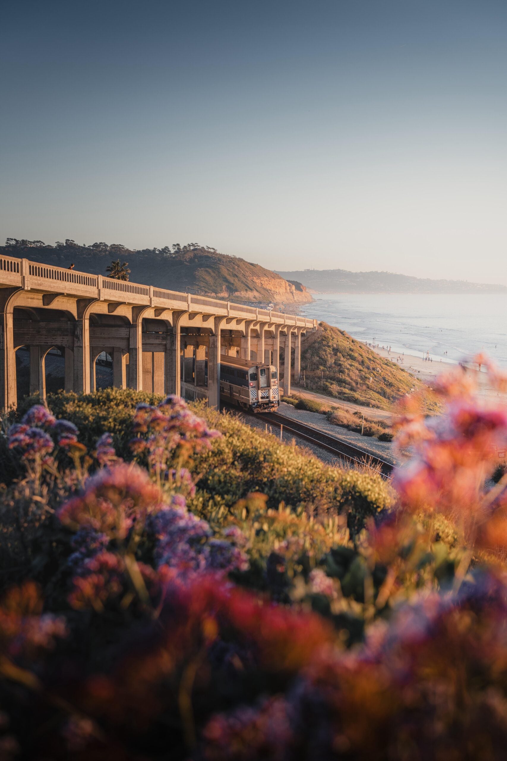 A train travels under a concrete bridge along a coastal bluff, with pink flowers in the foreground, and the ocean and sandy beach stretching out to the right under a clear sky.