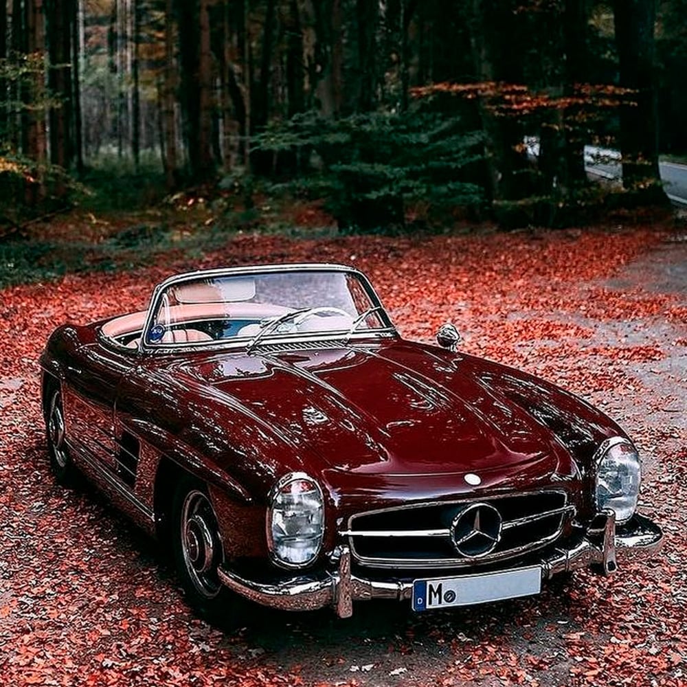 A classic red Mercedes-Benz convertible is parked on a ground covered with red autumn leaves, surrounded by trees in a forest setting. The car's top is down, and the chrome details shine in the soft light.