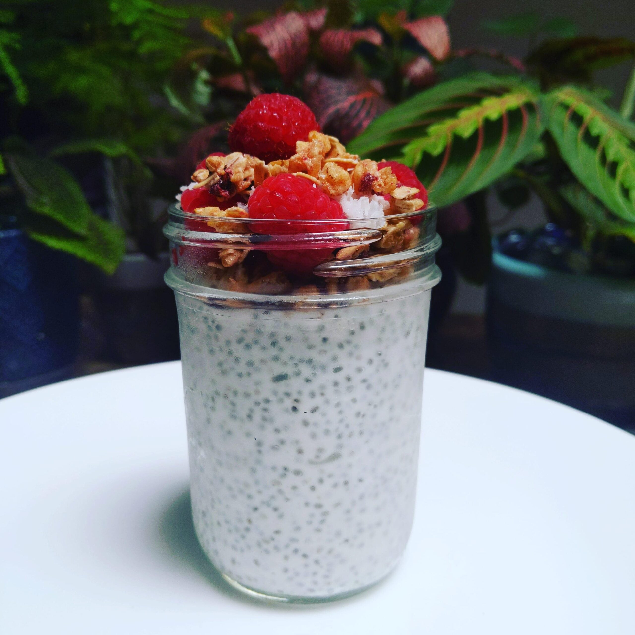 A jar of chia seed pudding topped with granola and fresh raspberries sits on a white plate, surrounded by green houseplants in the background.