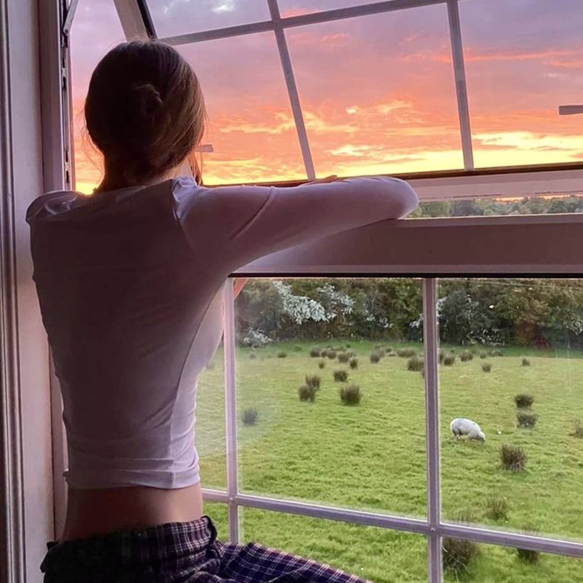 A person in a white long-sleeve shirt leans out of an open window, gazing at a green field with a sheep grazing, under a colorful sunset sky.