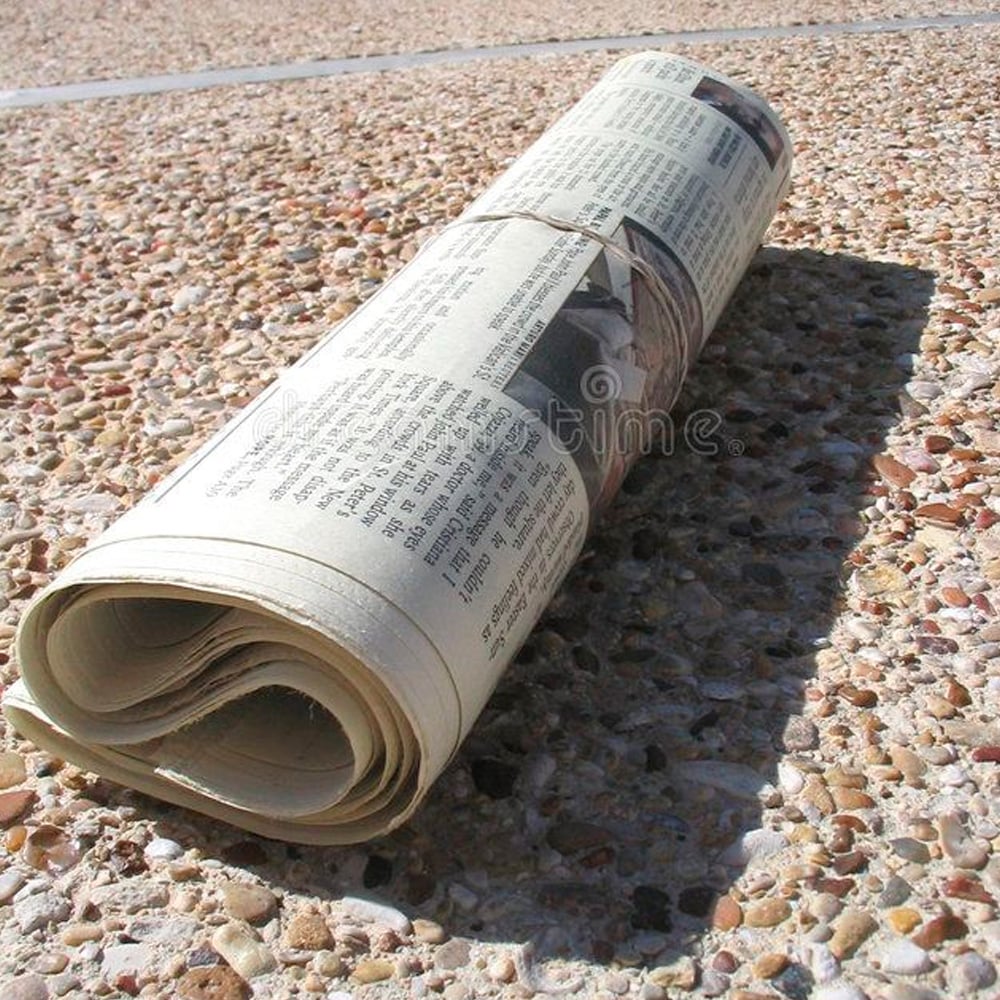 A rolled-up newspaper lies on a textured, pebbled surface outdoors, casting a shadow in the sunlight.