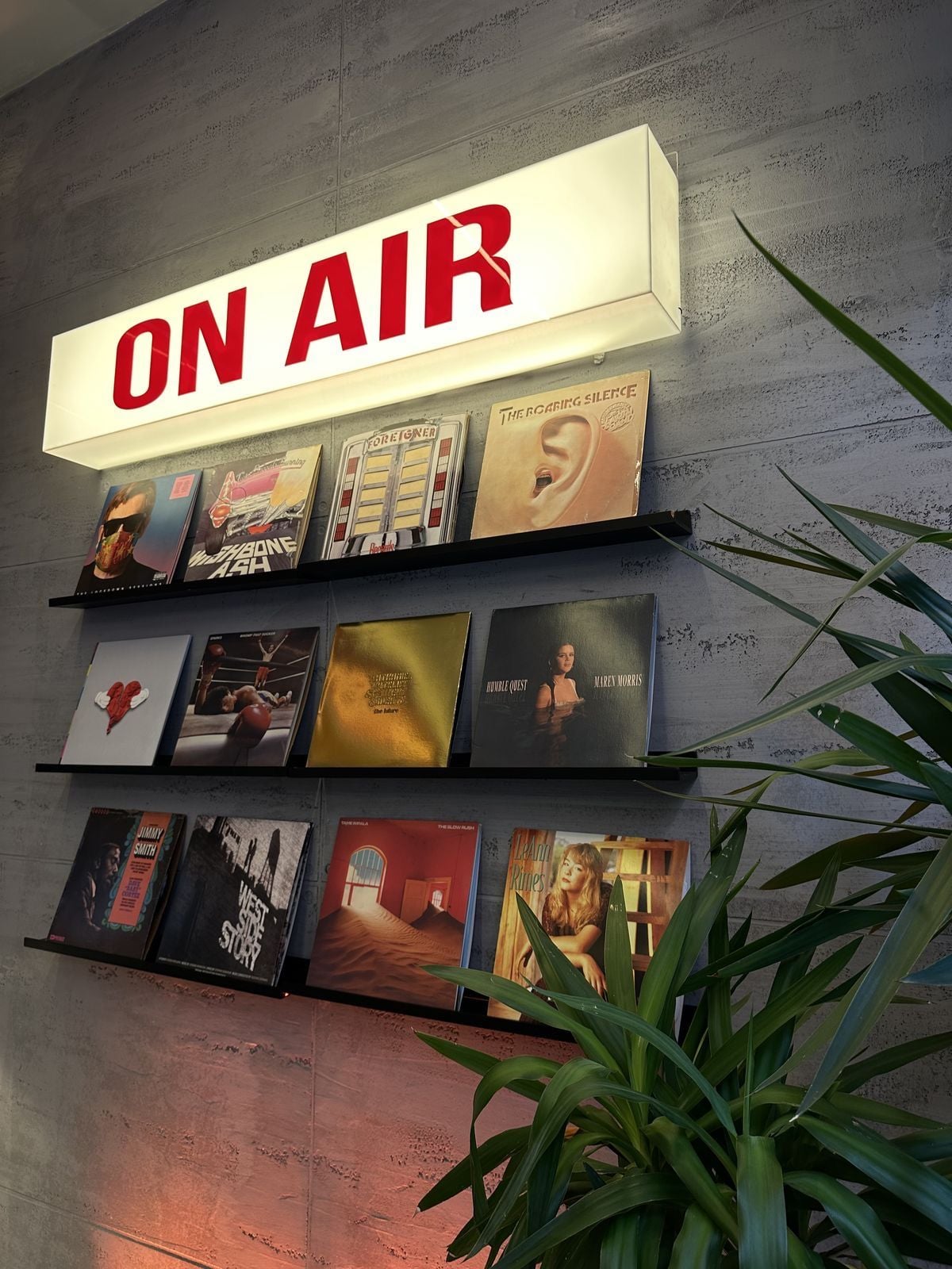 A lit "ON AIR" sign hangs above three shelves displaying vinyl record covers on a textured gray wall, with a large green plant on the right side of the image.