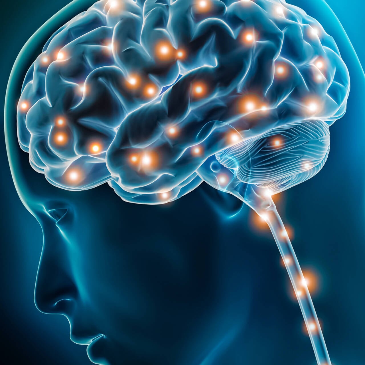 A digital illustration of a human head in profile showing a glowing brain with bright orange neural connections, highlighting brain activity and the nervous system in a blue gradient background.