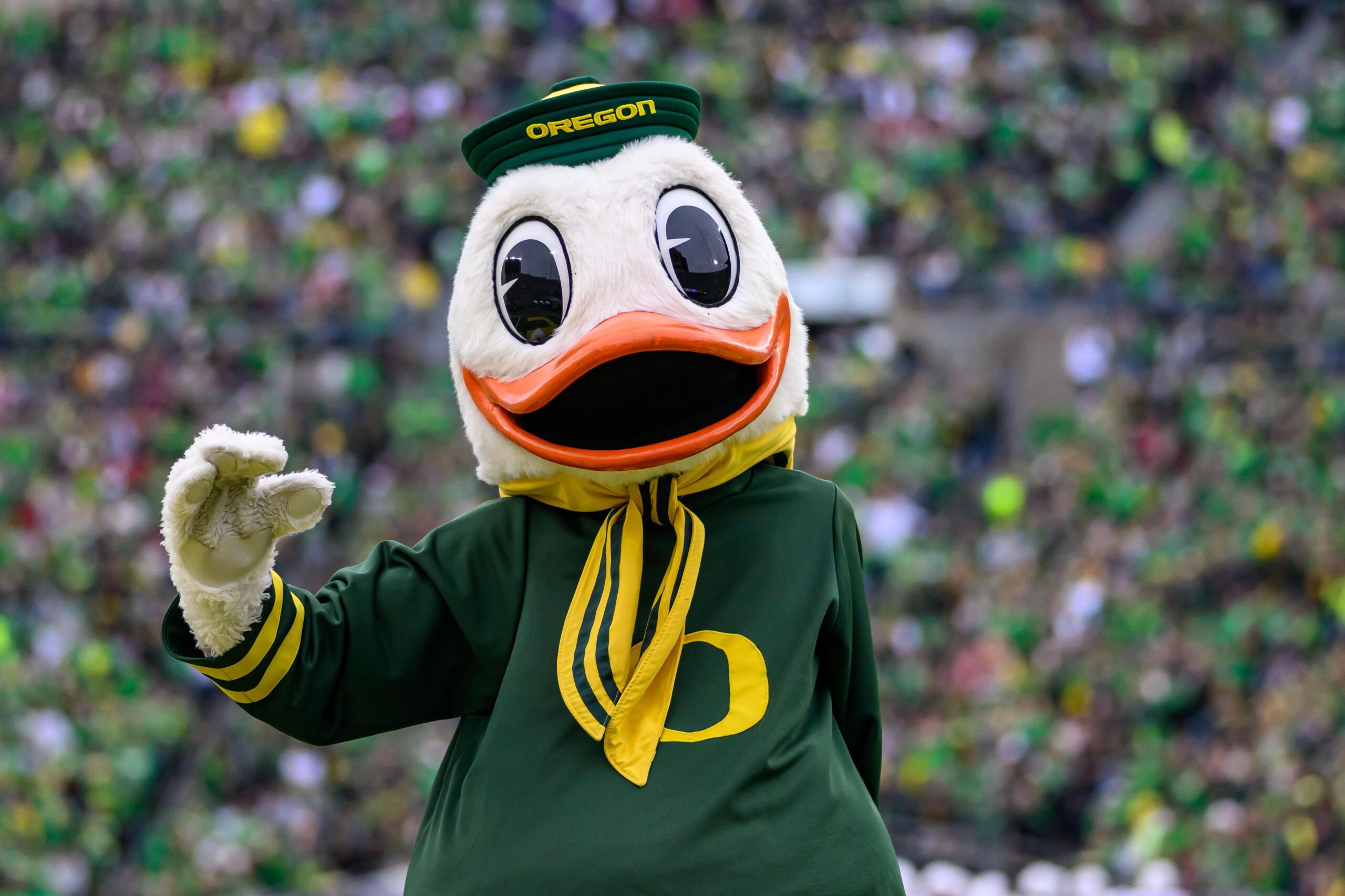 A person in an Oregon Ducks mascot costume, featuring a large duck head, green and yellow outfit, and sailor hat, waves to a crowd in a stadium filled with fans wearing green.