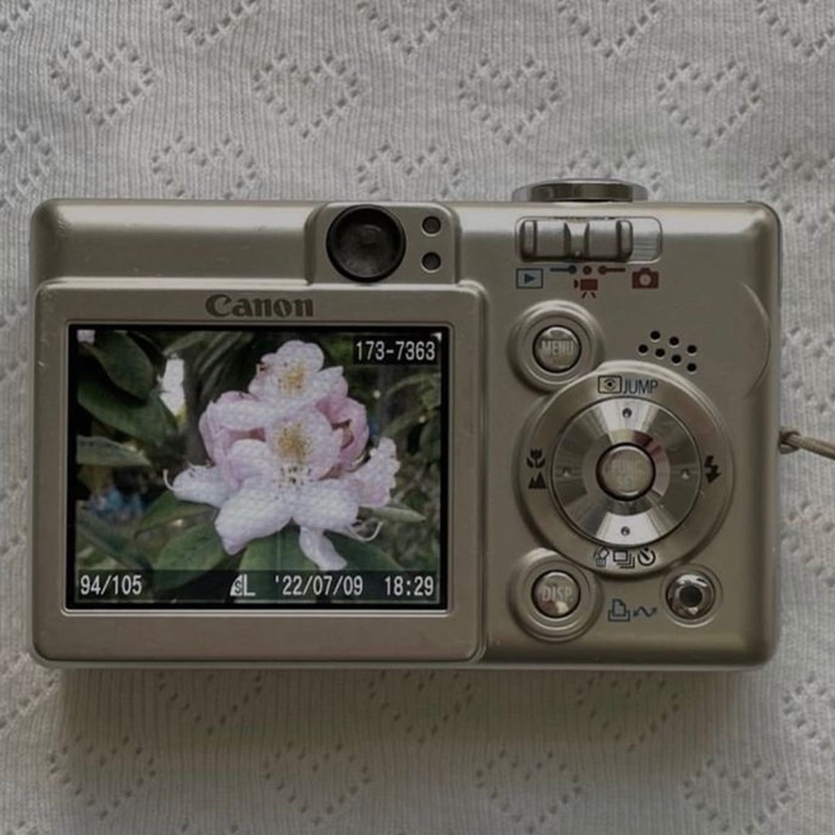 A silver Canon digital camera rests on a textured white surface, displaying a close-up photo of light pink flowers with green leaves on its screen. The camera's buttons and dials are visible.