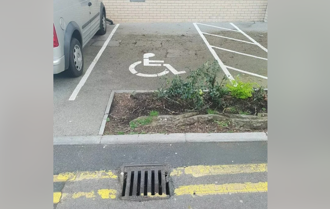 A parking space marked for disabled access is blocked by a raised curb and a garden bed, making it inaccessible. A van is parked in the adjacent space, and a storm drain is visible in the foreground.