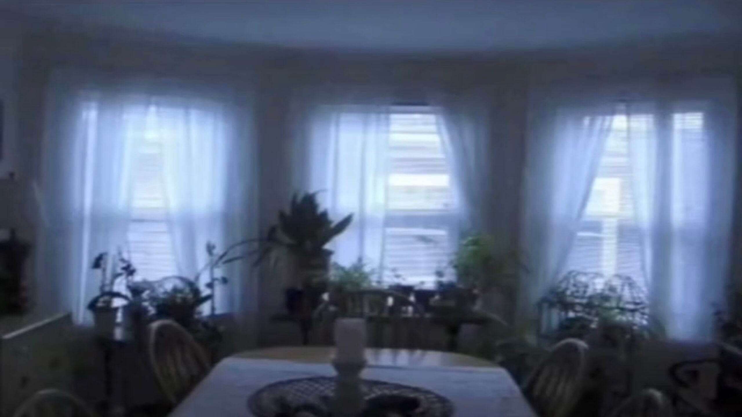 A dining room with a round table, surrounded by chairs, is filled with potted plants near three large windows covered with sheer white curtains. Soft light filters in, creating a calm and cozy atmosphere.