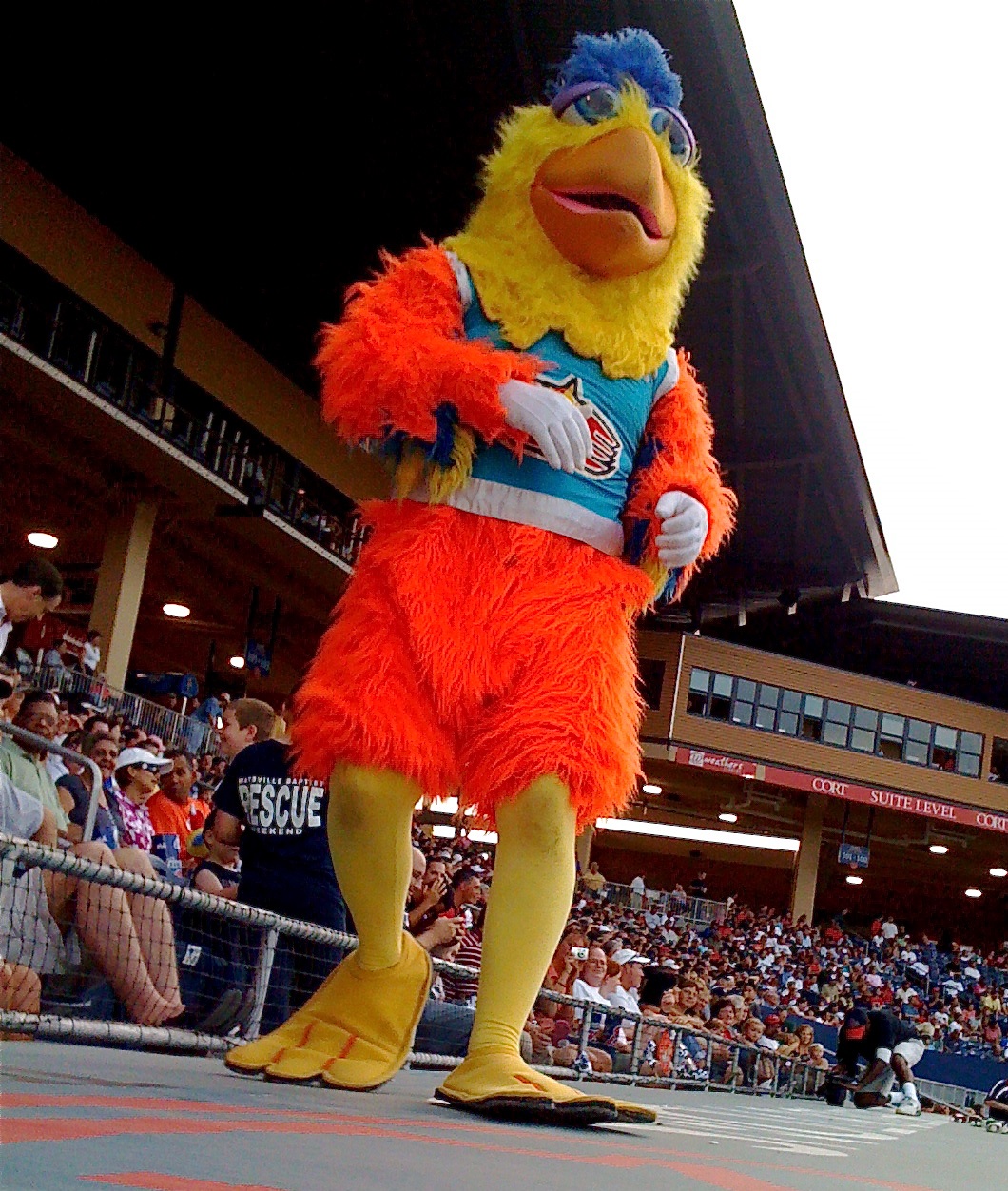 A person in a colorful chicken mascot costume stands on a baseball field, entertaining a large crowd of spectators in the stadium stands behind them.