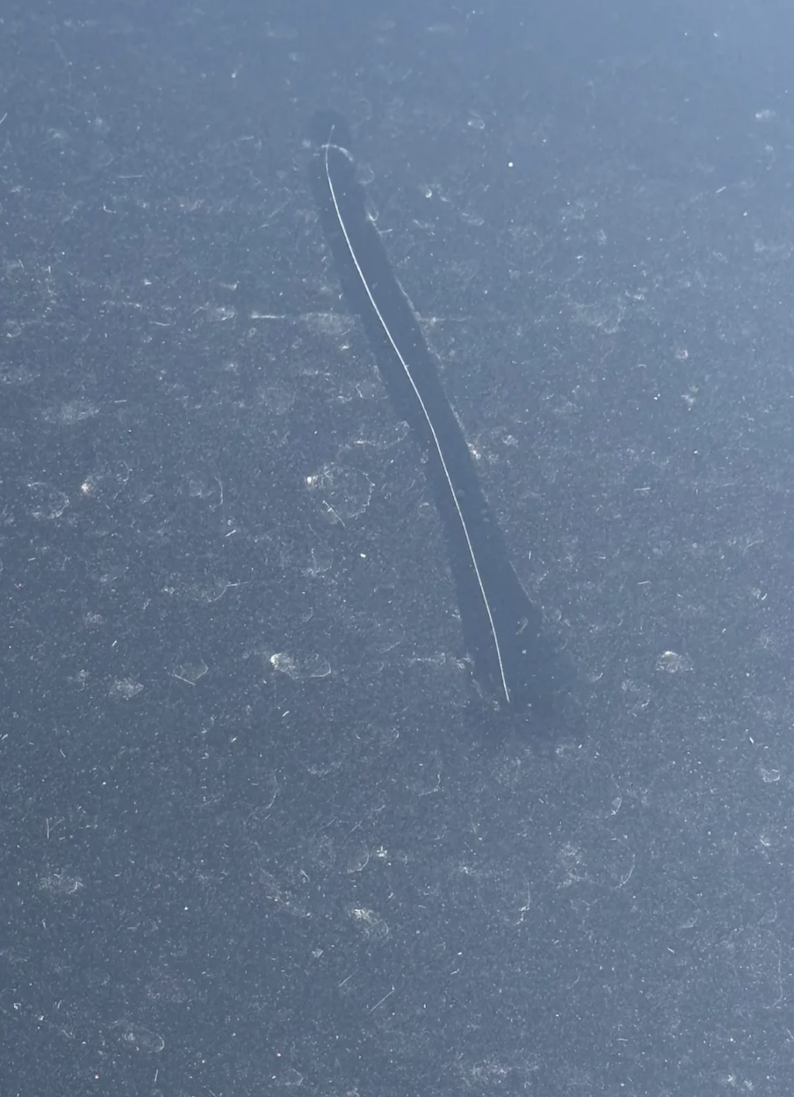 A close-up of a dusty dark-colored car hood with a long, thin scratch running vertically through the center. Light reflects off the scratch, making it more visible against the dusty surface.