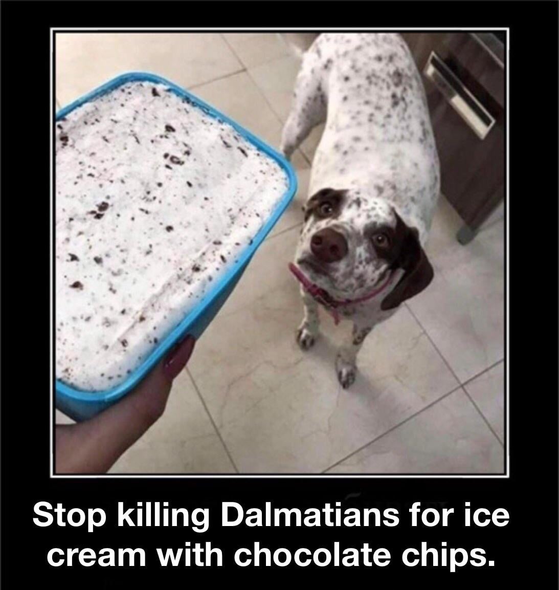 A hand holds a tub of cookies-and-cream ice cream next to a Dalmatian dog with similar coloring. Text below jokes, “Stop killing Dalmatians for ice cream with chocolate chips.”