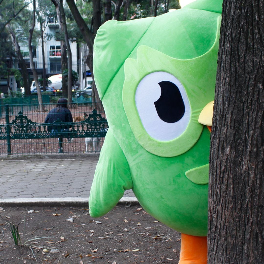 A large green owl mascot peeks out from behind a tree in a park, with benches, people, and trees visible in the background.