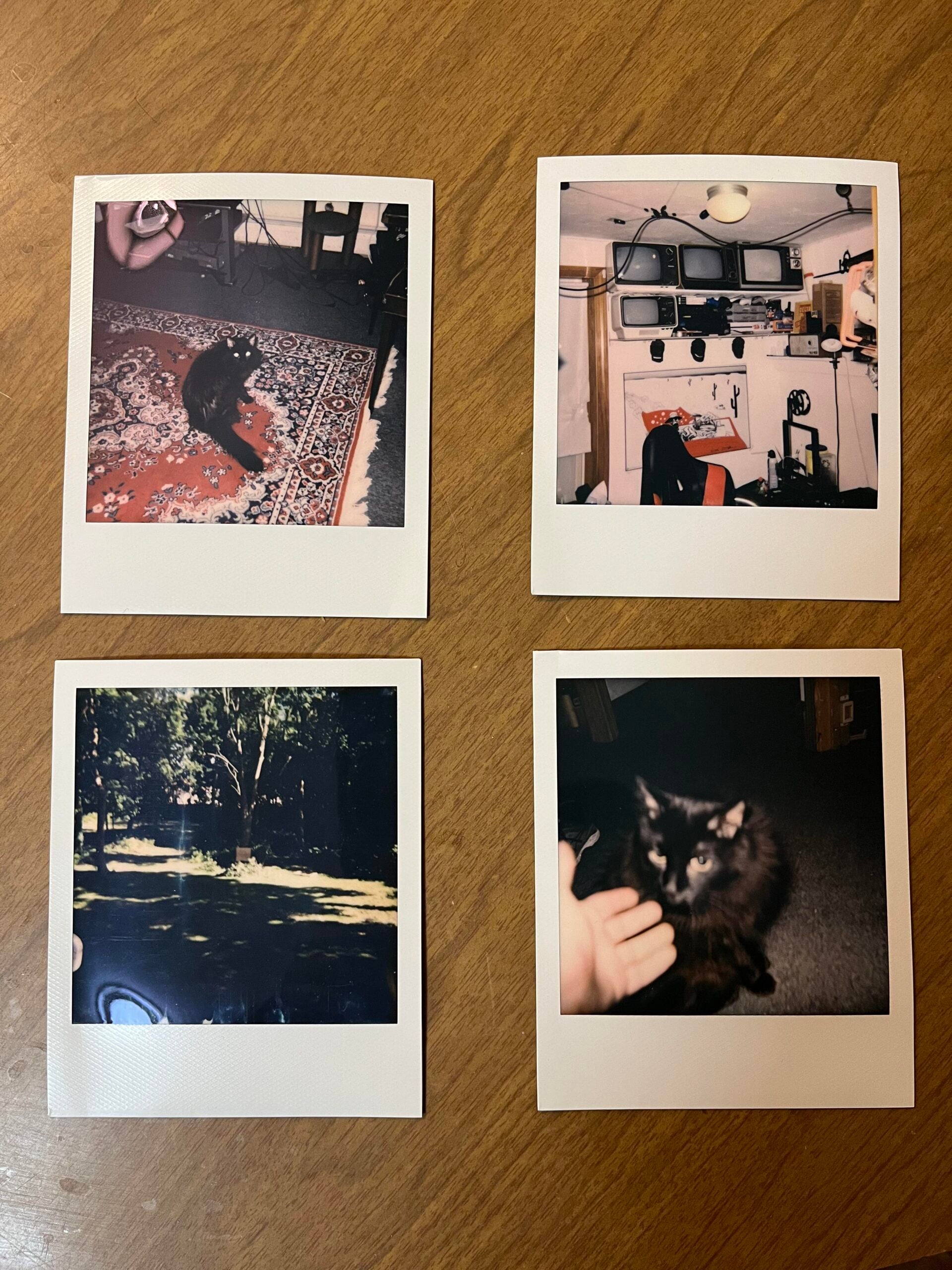 Four Polaroid photos on a wooden surface: a black cat on a rug, a vintage workspace with monitors and equipment, a sunlit yard, and a hand reaching toward a fluffy black cat.
