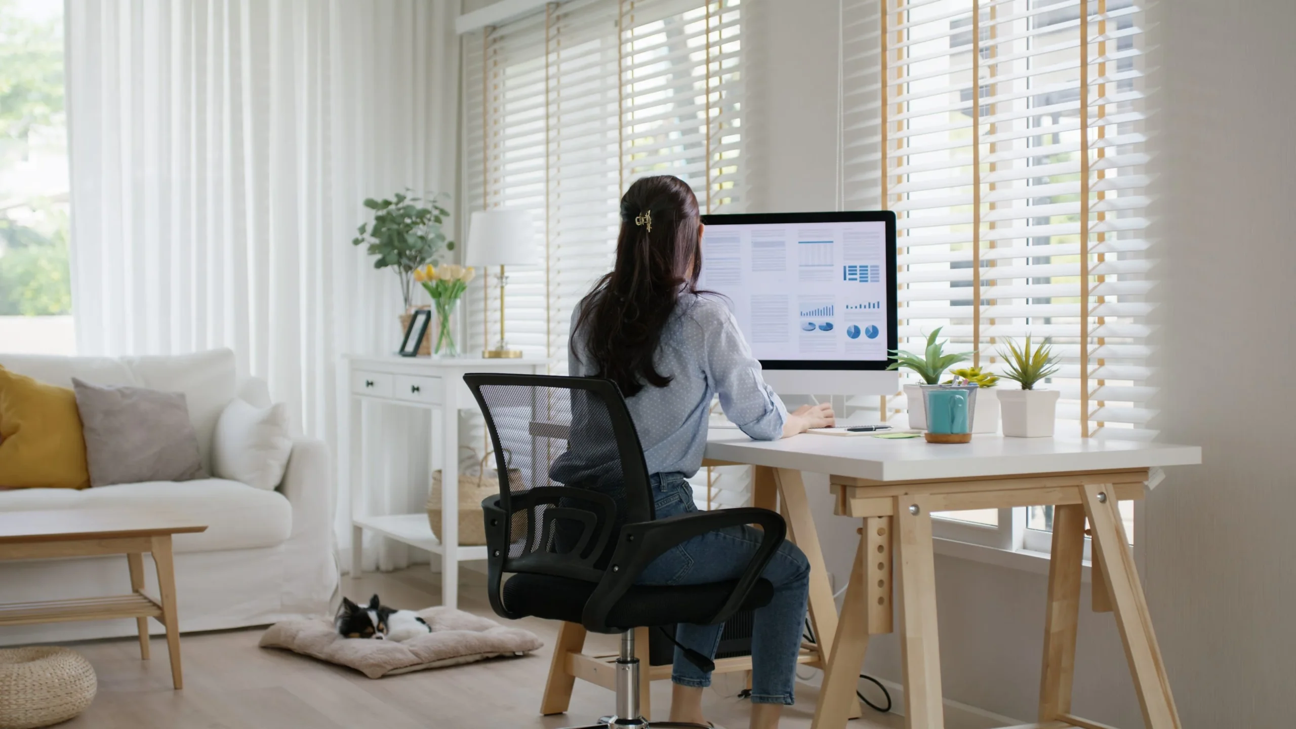 A woman sits at a desk working on a computer in a bright, modern home office with large windows. A black and white cat is lying on a pet bed nearby. Houseplants and decor add a cozy touch to the space.