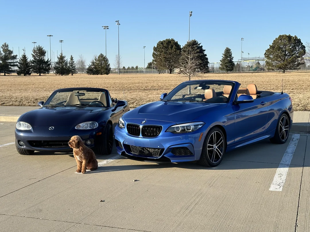 A small brown dog sits on pavement between a black Mazda Miata and a blue BMW convertible, both parked with their tops down in an empty lot on a sunny day. Trees and a sports field are visible in the background.