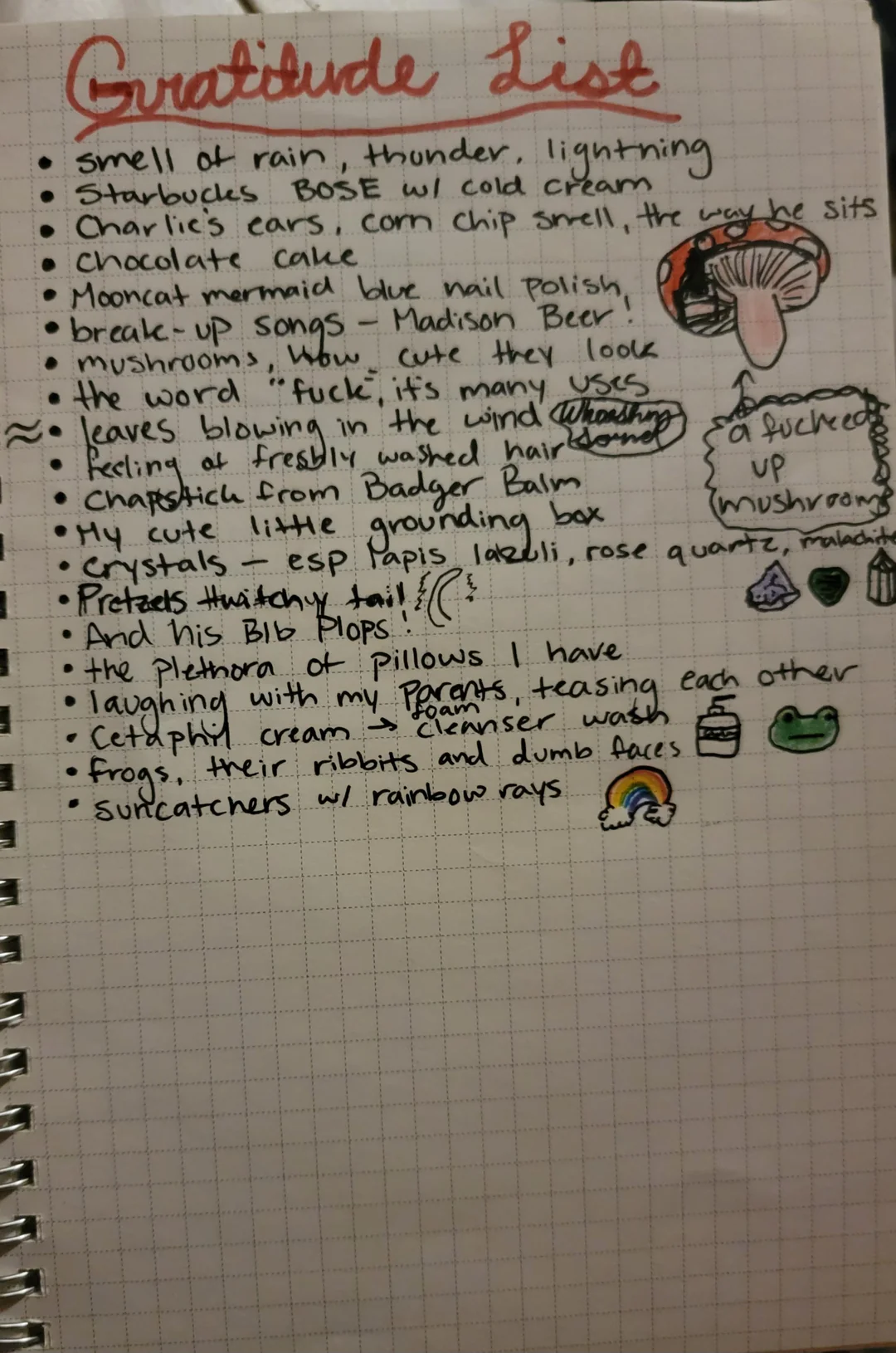 A handwritten gratitude list on grid paper with doodles of mushrooms, a cat, lipstick, a lollipop, and a heart. Items include rain, pets, coffee, music, family, jewelry, beauty products, and laughter.