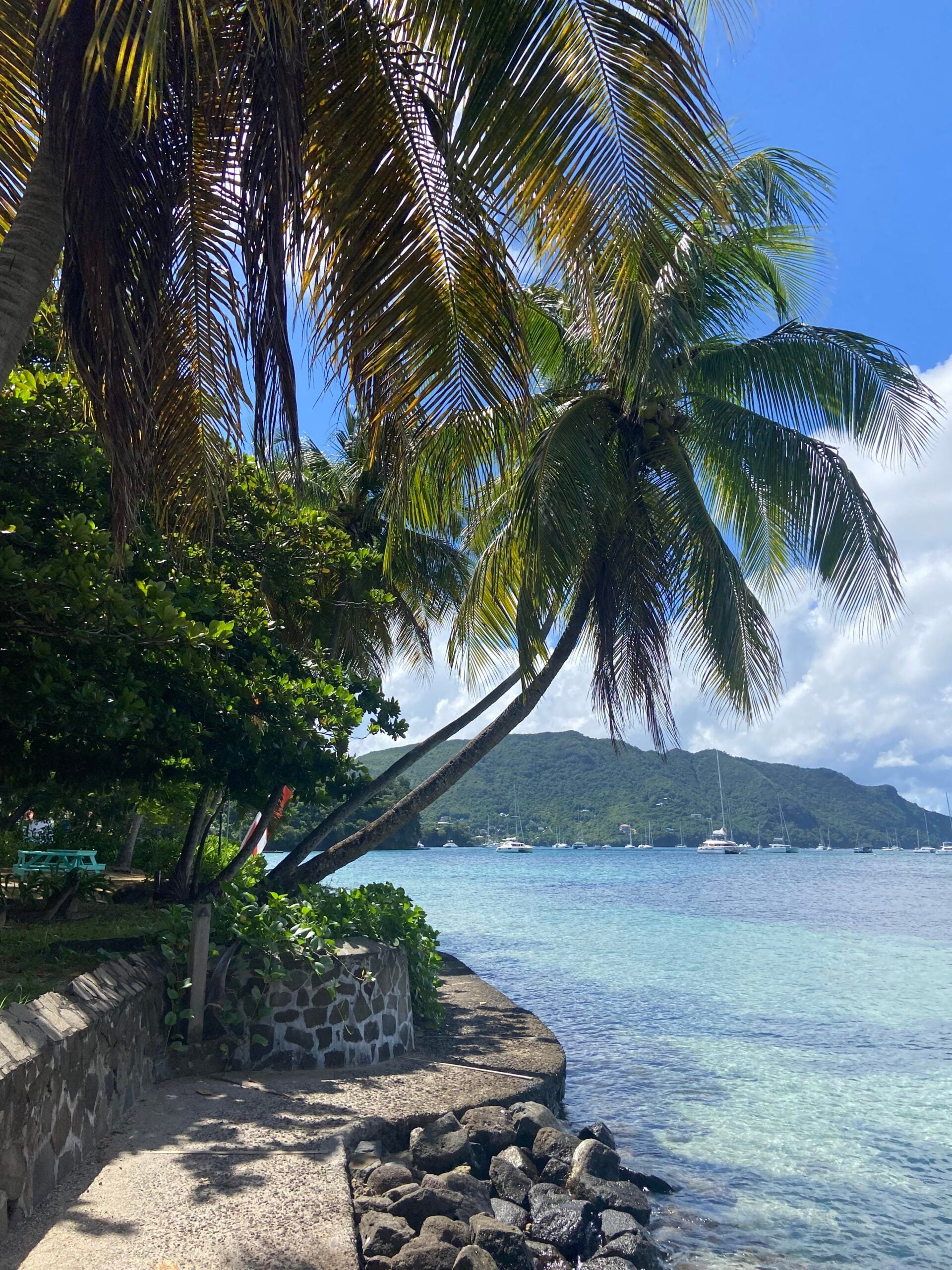 A curved palm tree leans over clear blue water beside a stone path, with lush greenery on the left and distant sailboats anchored near a mountainous island under a bright, partly cloudy sky.