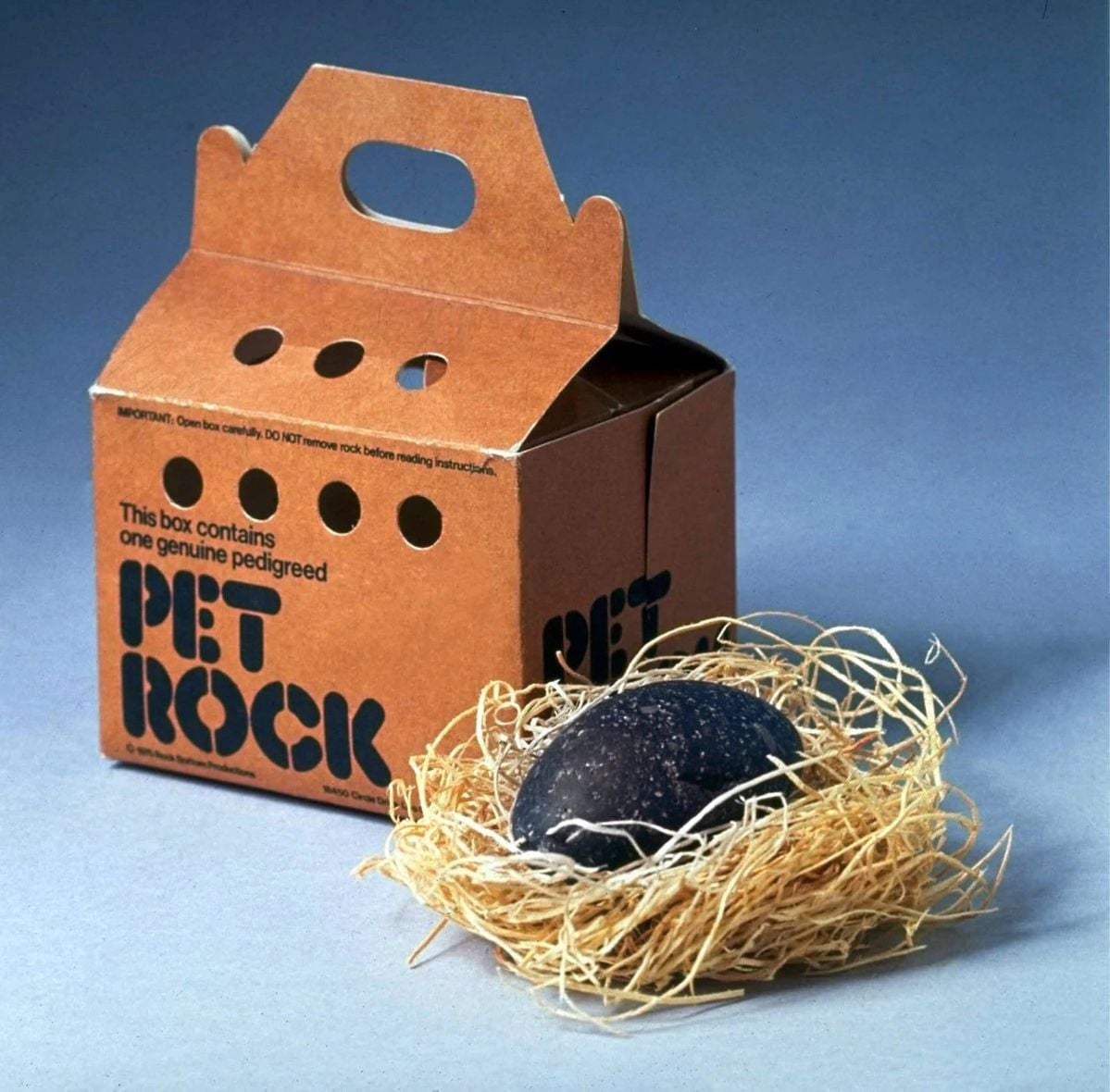 A cardboard box labeled “PET ROCK” sits next to a black rock resting on straw, resembling a nest. The box has small holes and a handle, resembling a pet carrier.