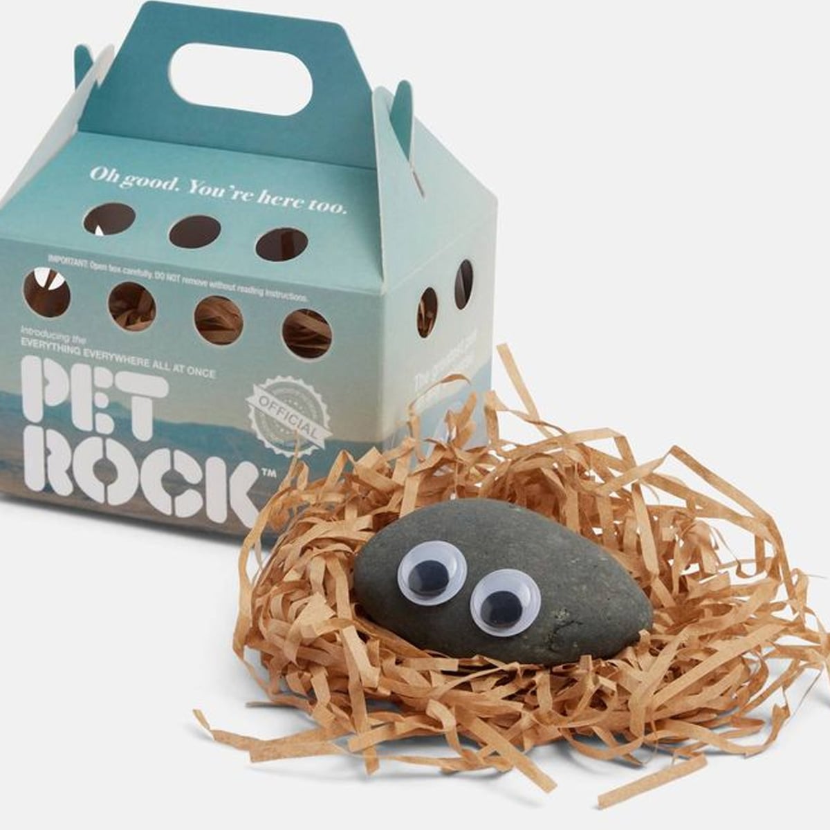A gray rock with googly eyes sits on a nest of brown paper shreds next to a blue and white "Pet Rock" box with ventilation holes and a handle.