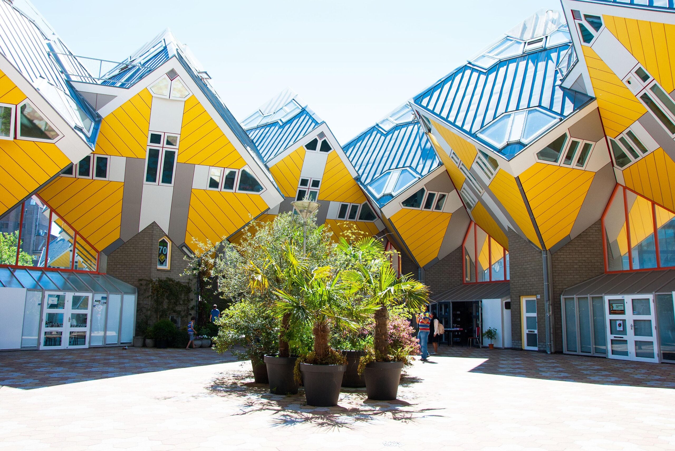 A courtyard with several potted palm trees is surrounded by unique yellow and gray cube-shaped houses, featuring tilted walls and angular roofs, under a bright sky.