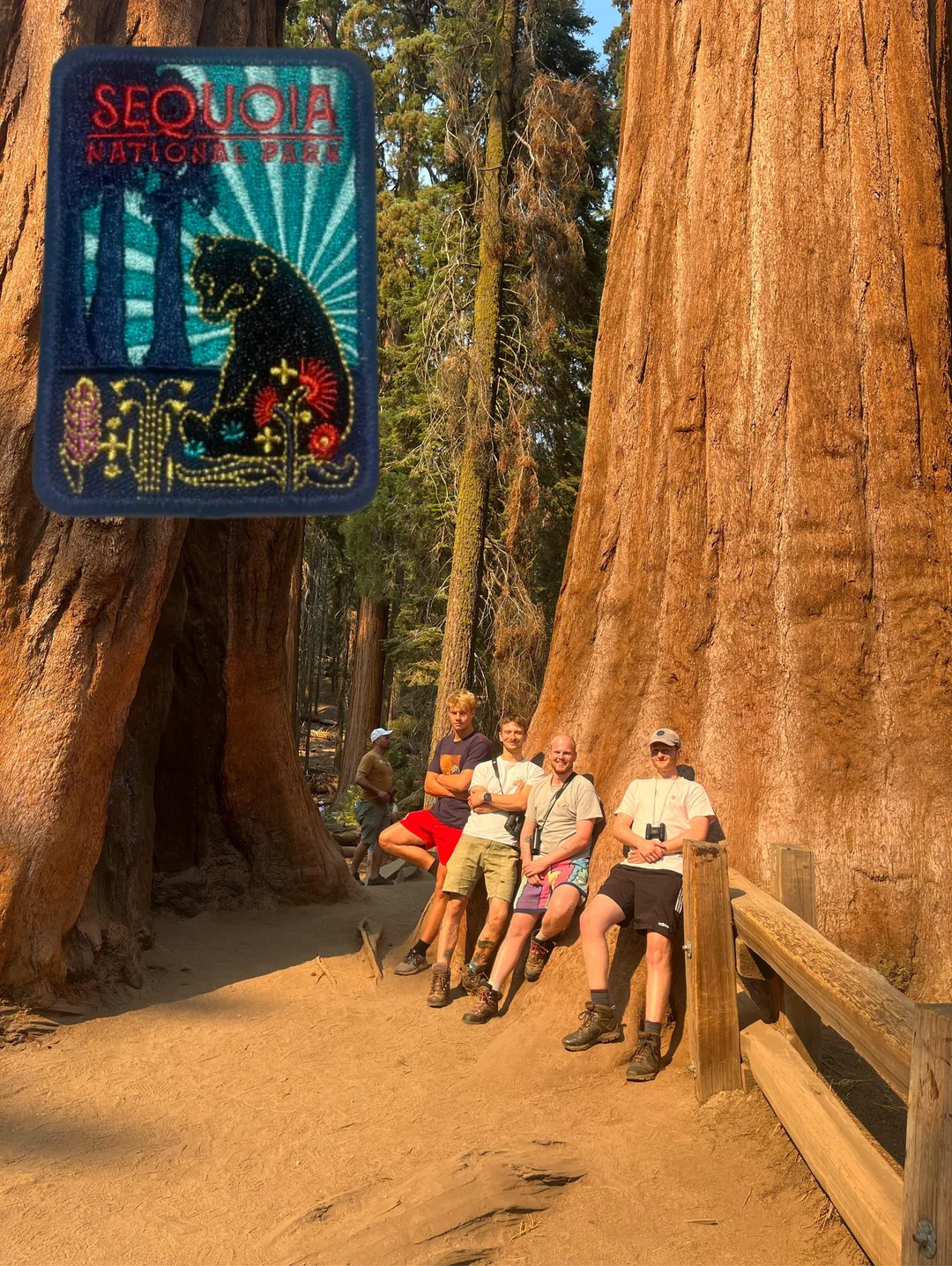 Five people pose and smile at the base of giant sequoia trees on a sunny day in a forest. An embroidered Sequoia National Park patch with a bear is overlaid in the upper left corner of the image.