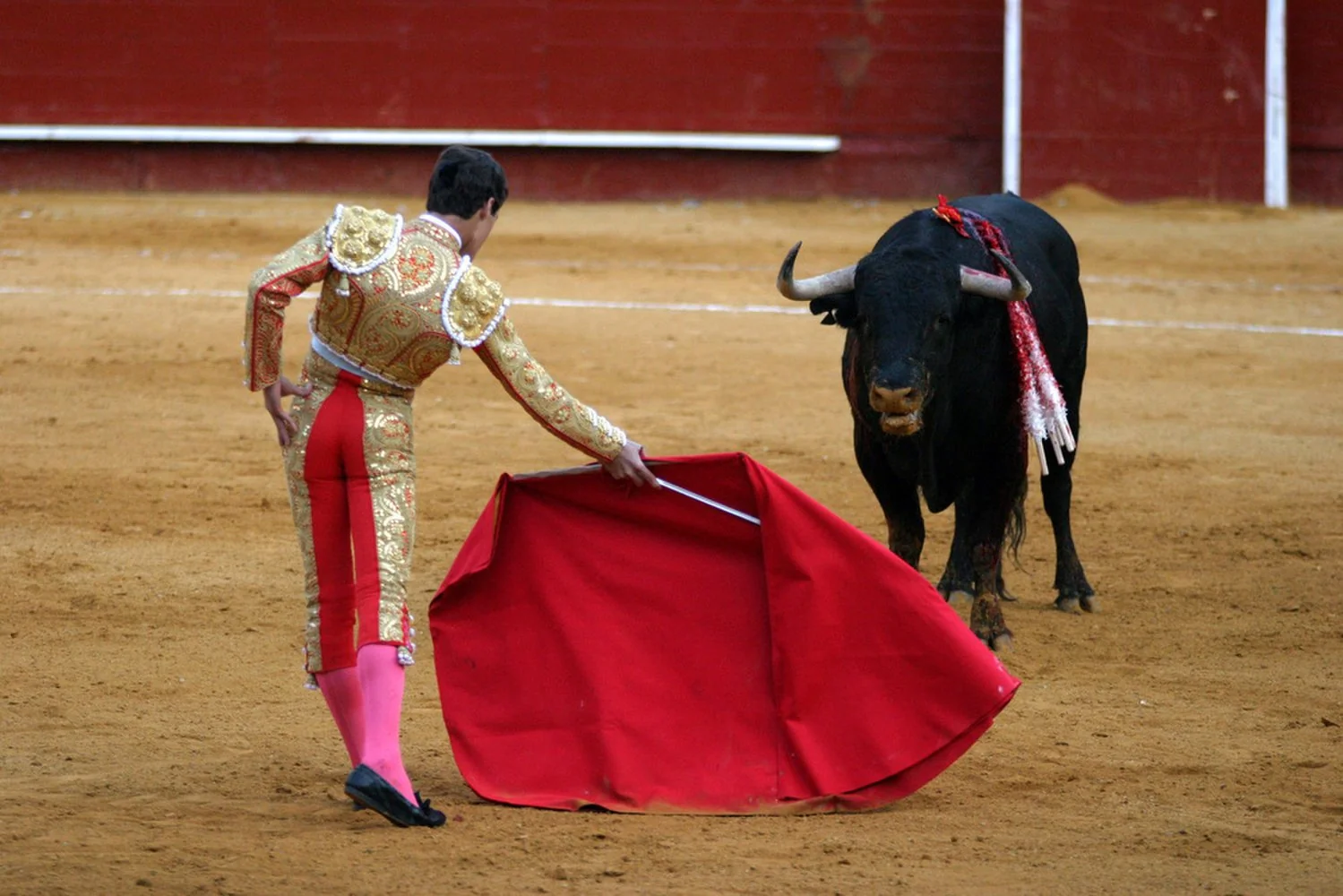 A matador dressed in ornate traditional costume holds a red cape, facing a black bull in a bullfighting arena with a reddish-brown dirt floor and a red wall in the background.
