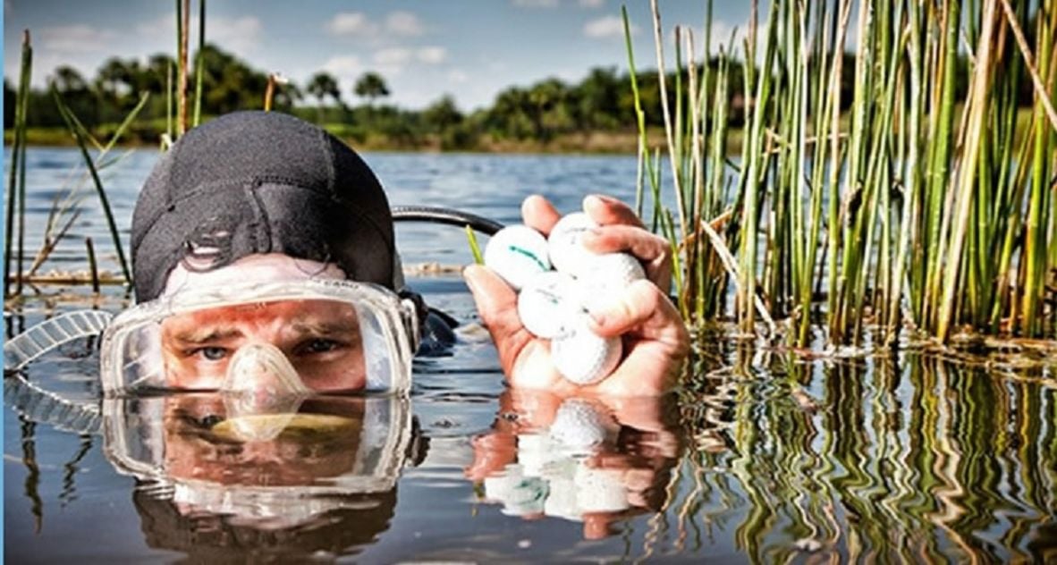 A scuba diver in a wetsuit and mask emerges from a pond among tall reeds, holding up several golf balls in one hand above the water.