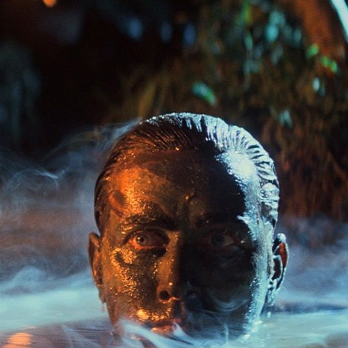 A man's head, covered in dark camouflage paint, emerges from misty water at night, with dramatic lighting and foliage in the blurry background.