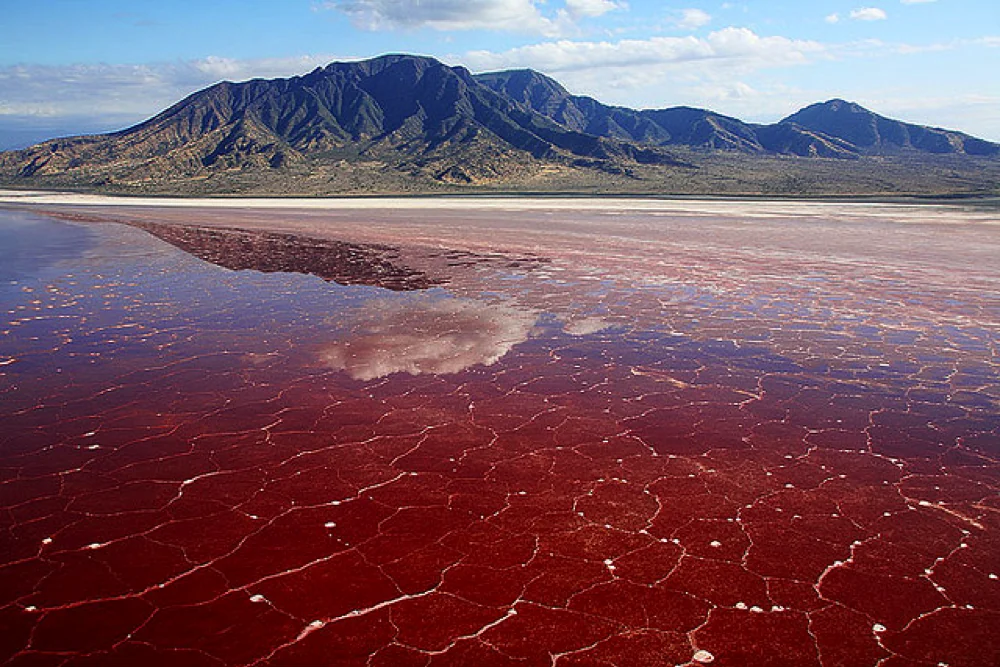 A striking pinkish-red salt lake with cracked patterns on its surface sits in front of a rugged mountain range under a partly cloudy sky, with clouds reflected in the vibrant water.