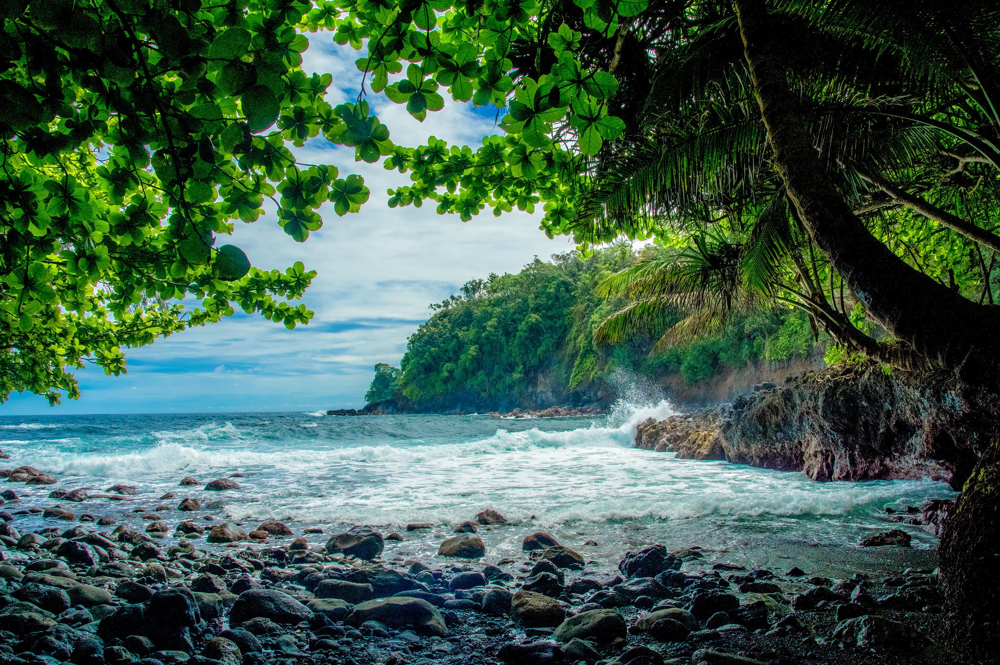 Rocky shoreline framed by lush green trees, with ocean waves crashing against the rocks and a forested cliff in the background under a partly cloudy sky.