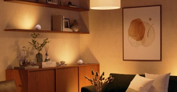 A cozy living room with warm lighting, wooden shelves holding books and decor, a modern abstract art piece on the wall, a dark sofa with white pillows, and a cabinet topped with plants and glassware.