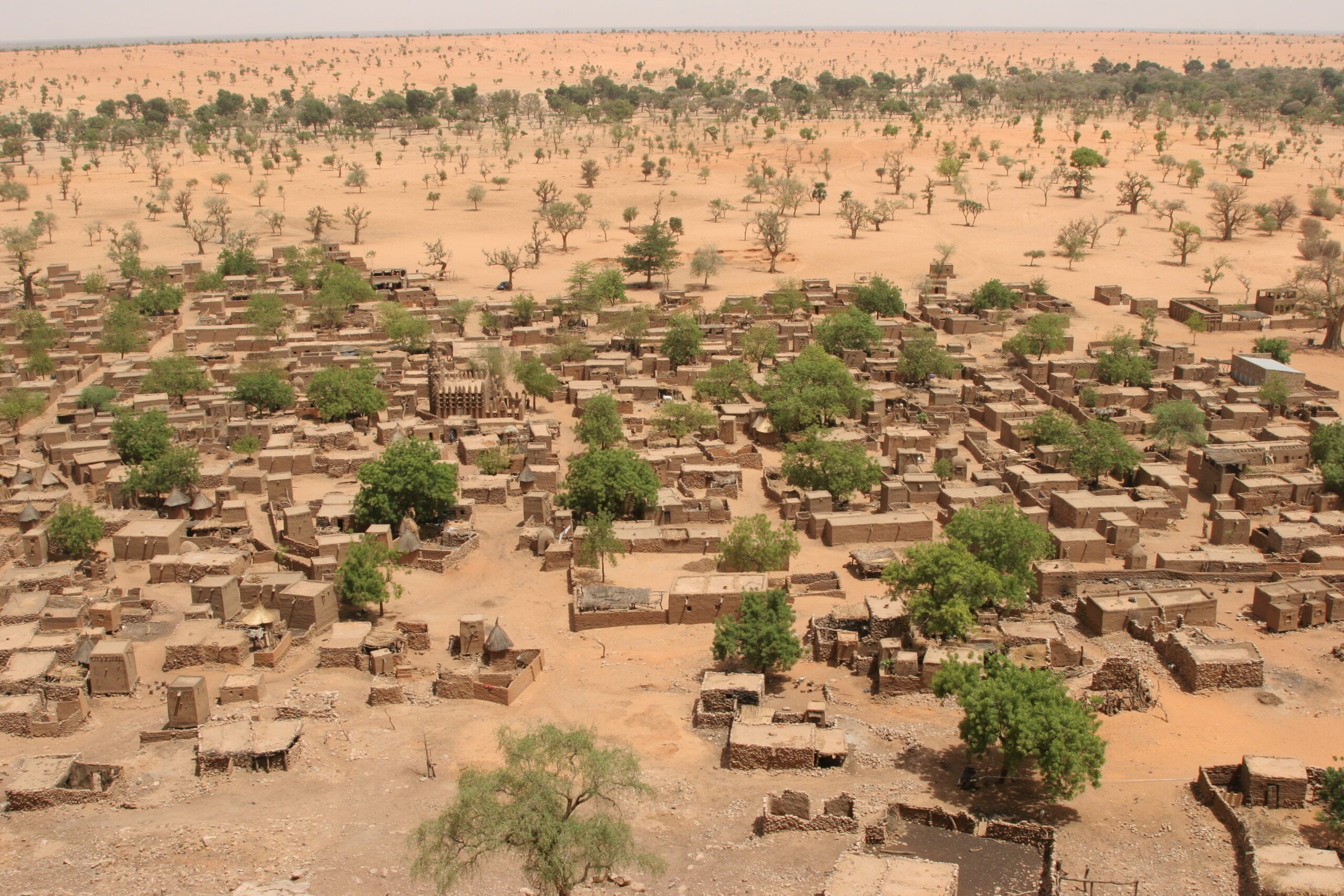 Aerial view of a village with rectangular mud-brick buildings and scattered green trees, set in a dry, sandy landscape with sparse vegetation extending to the horizon.