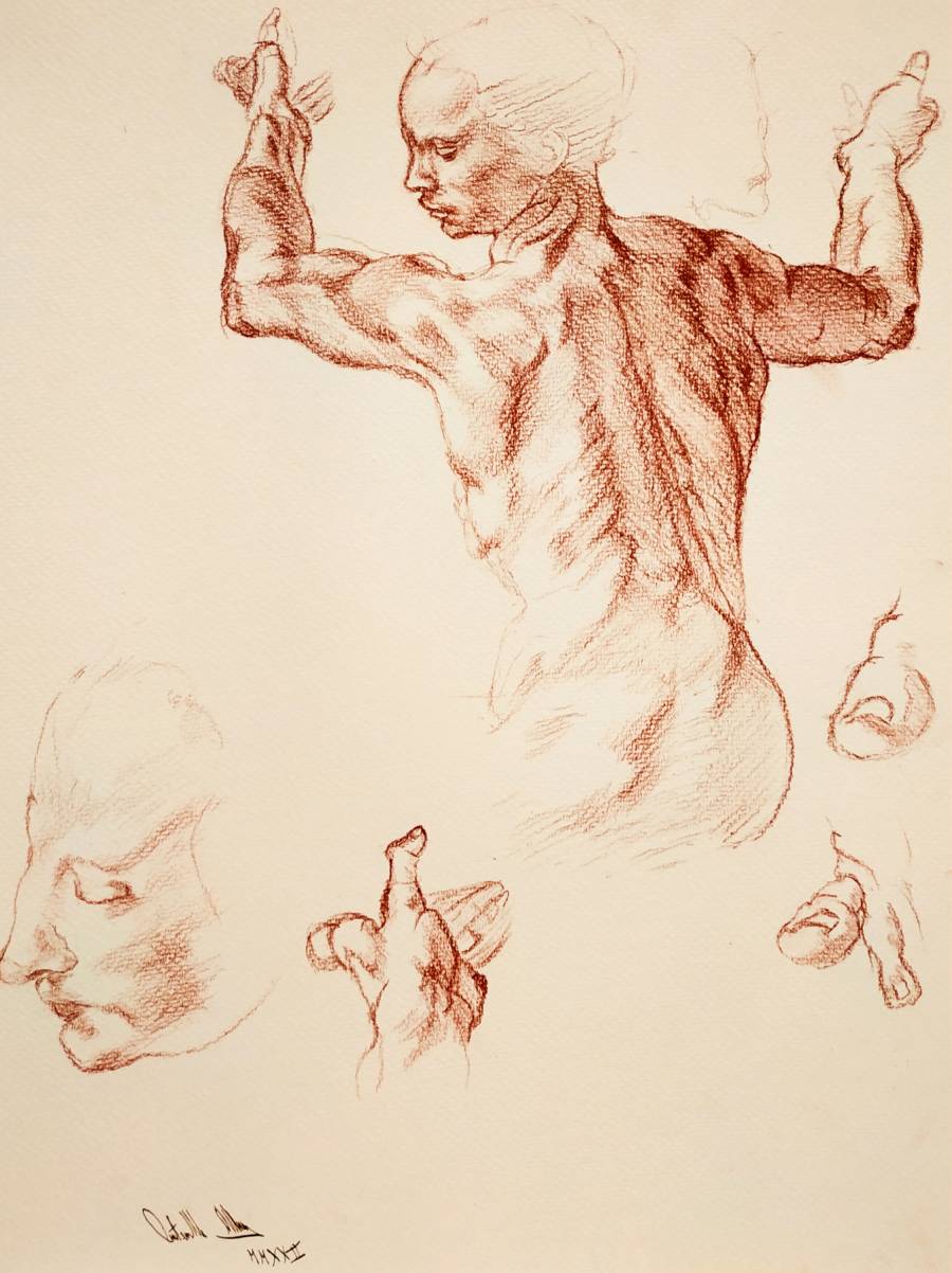 A detailed sketch in brown pencil shows a muscular, nude figure viewed from the back with arms raised. Surrounding the main figure are studies of a face, hands, and a thumb, all drawn on textured paper.