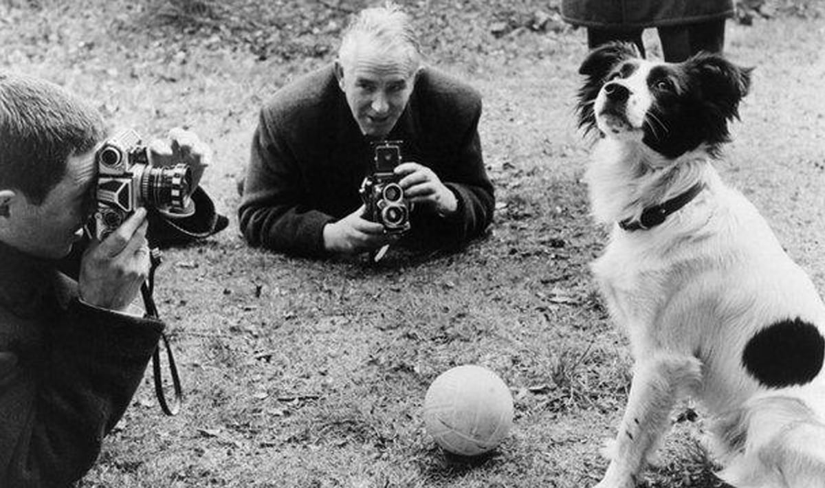 Two men with cameras photograph a black-and-white dog sitting on grass near a ball. One man kneels, the other lies on the ground. Another person’s legs are visible in the background.