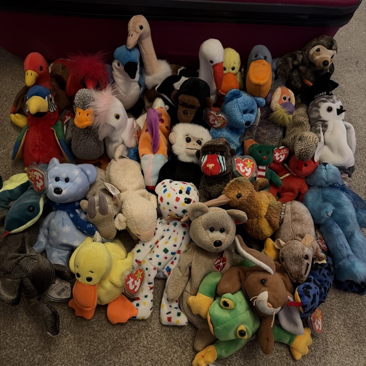 A collection of assorted Beanie Babies, including animals like ducks, bears, birds, and reptiles, arranged on a carpeted floor in front of a pink suitcase.