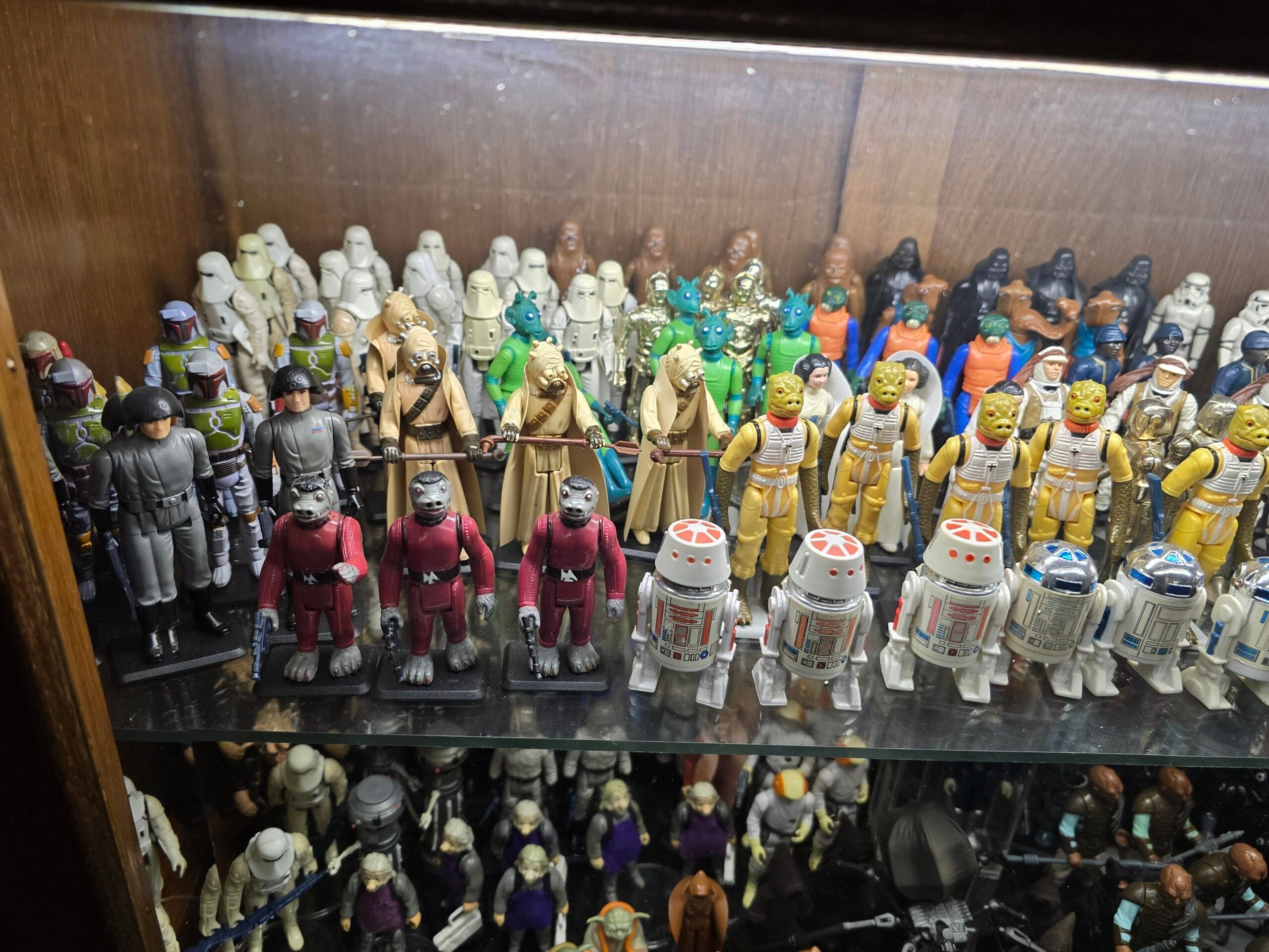 A collection of vintage Star Wars action figures displayed on shelves, including droids, aliens, and various characters in different colors and costumes, all standing upright in rows inside a glass cabinet.