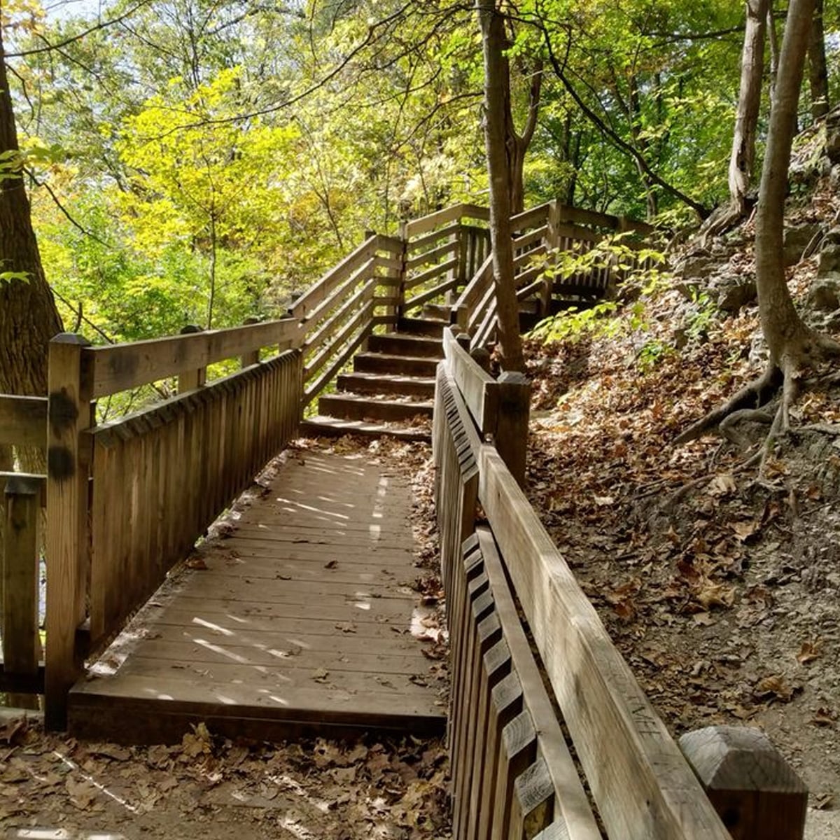 A wooden boardwalk with railings winds up a forested hillside, transitioning into a staircase. Sunlight filters through green and yellow leaves, illuminating the path surrounded by trees and fallen leaves.