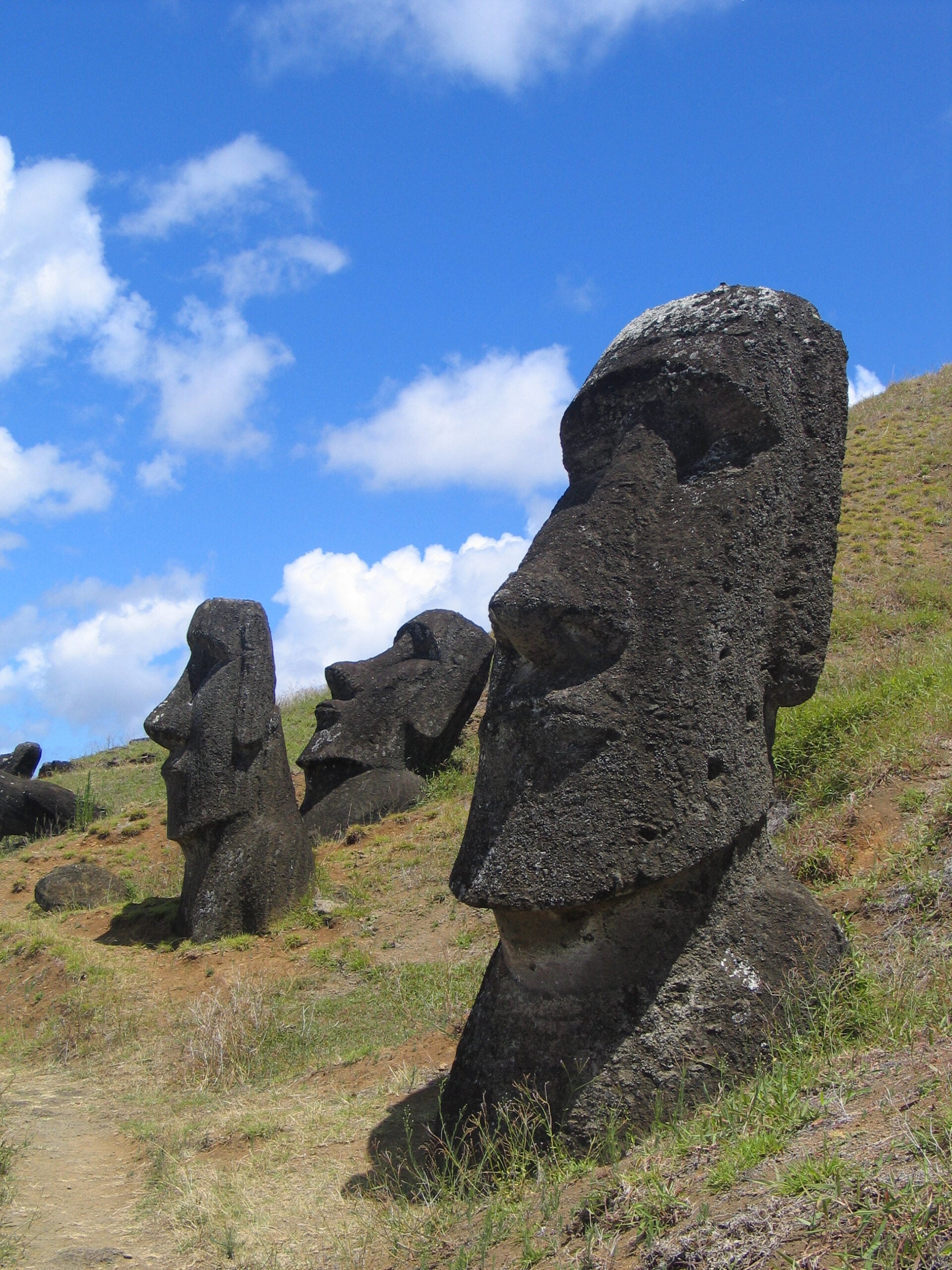 Large stone Moai statues on grassy, sloped terrain under a partly cloudy blue sky at Easter Island, Chile. The statues have prominent facial features and stand in a row facing the same direction.