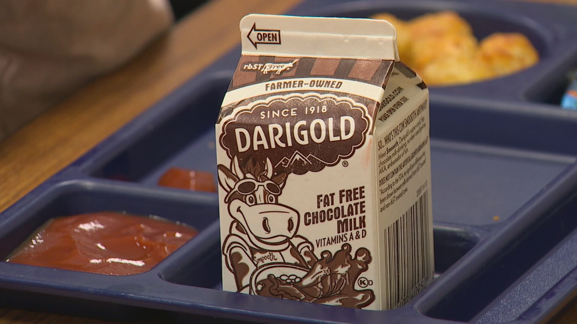 A carton of Darigold fat free chocolate milk sits on a blue cafeteria tray, next to compartments containing ketchup and tater tots.