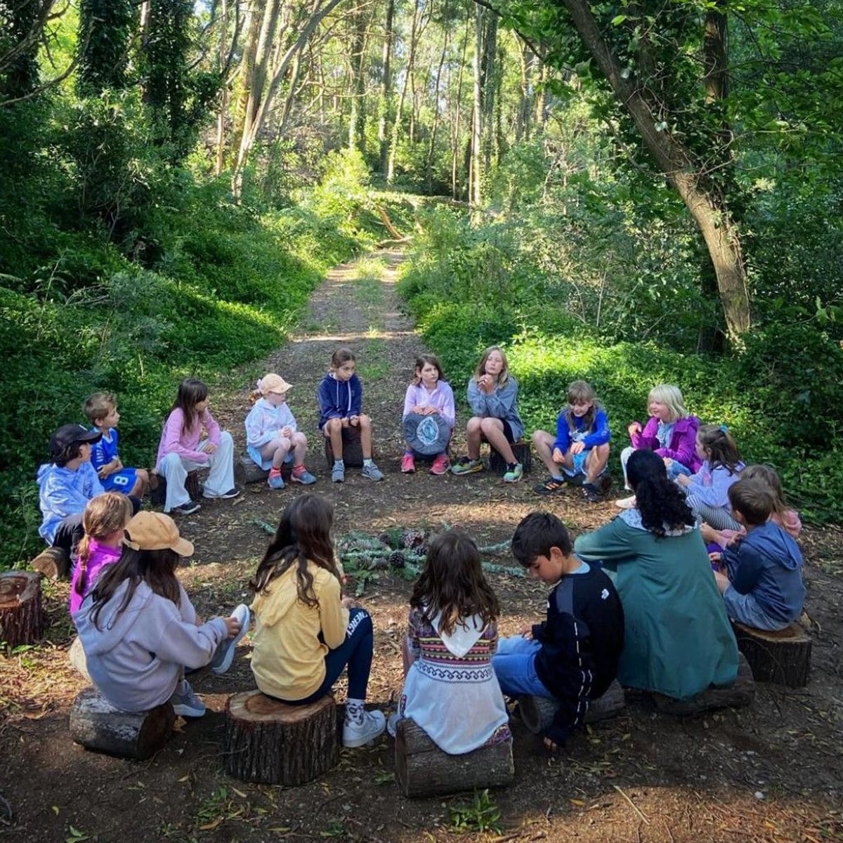 A group of children sit in a circle on tree stumps in a sunlit forest clearing, surrounded by green trees and foliage, participating in an outdoor activity.