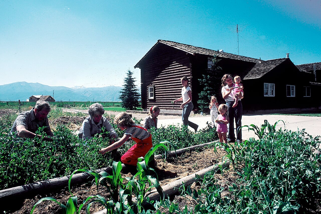 A group of adults and children work together in a lush vegetable garden by a wooden house on a sunny day, with mountains visible in the background. Some people are gardening, while others watch or carry children.