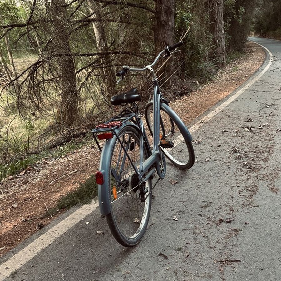 A blue bicycle is parked on the side of a paved, winding road bordered by trees and greenery, suggesting a peaceful ride through a forested area.