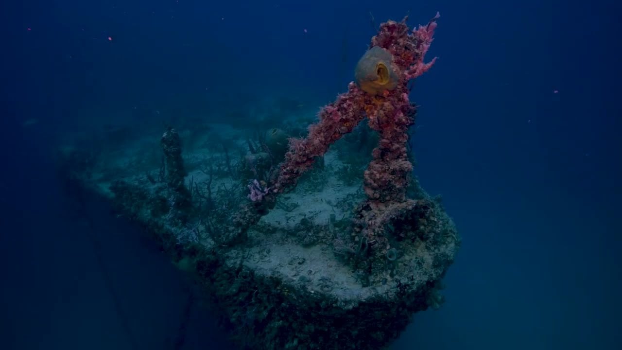 The bow of a sunken ship underwater, covered in coral and marine growth, with an anchor clearly visible. The surrounding water is deep blue, and various sea life and plants are faintly visible on the wreck.