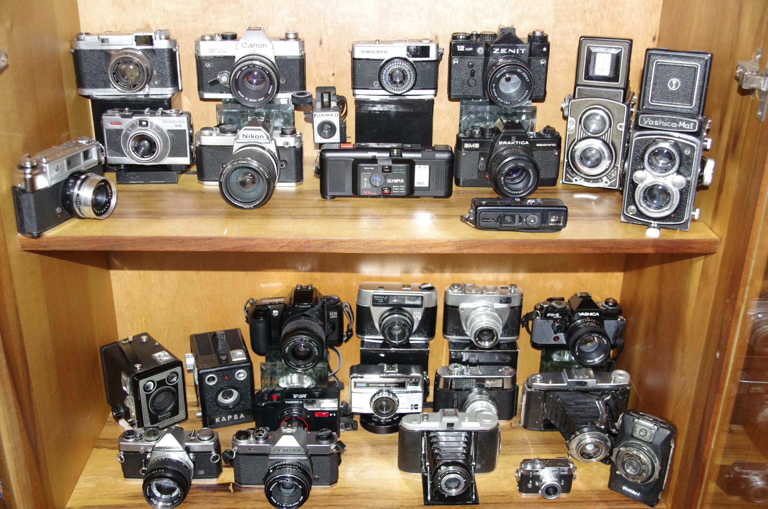 A wooden shelf filled with various vintage film cameras, including models from Kodak, Canon, Nikon, and other brands, displayed in rows for collection or exhibition purposes.