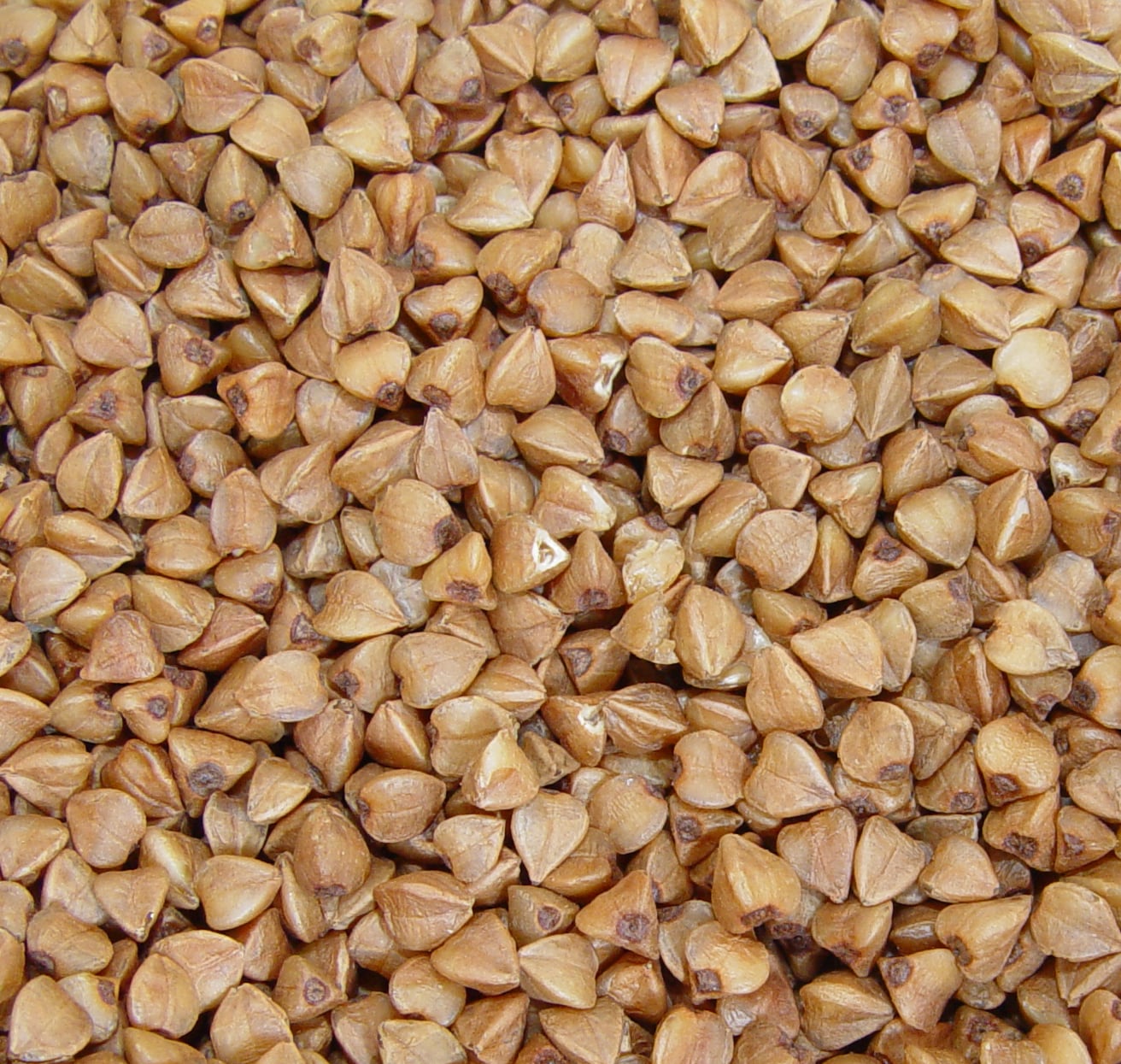 Close-up of a pile of raw buckwheat groats, showing their brown, triangular shape and smooth, slightly shiny surface.