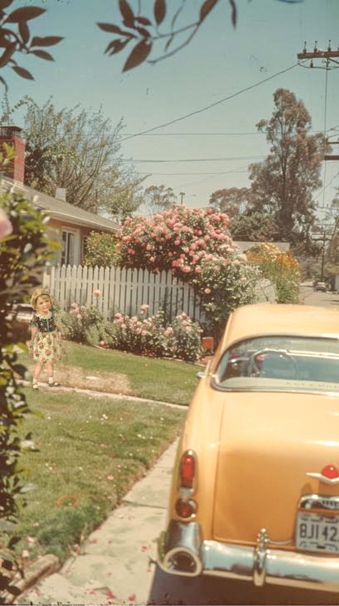 A young girl stands in front of a white picket fence beside blooming rose bushes. A vintage yellow car is parked in the driveway, with tree branches and a suburban house in the background under a clear sky.