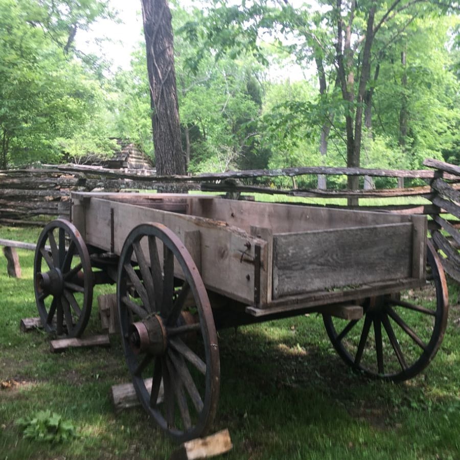 A wooden wagon with large spoked wheels sits on grass in a wooded area, surrounded by trees and split rail fences. The wagon appears old and weathered.