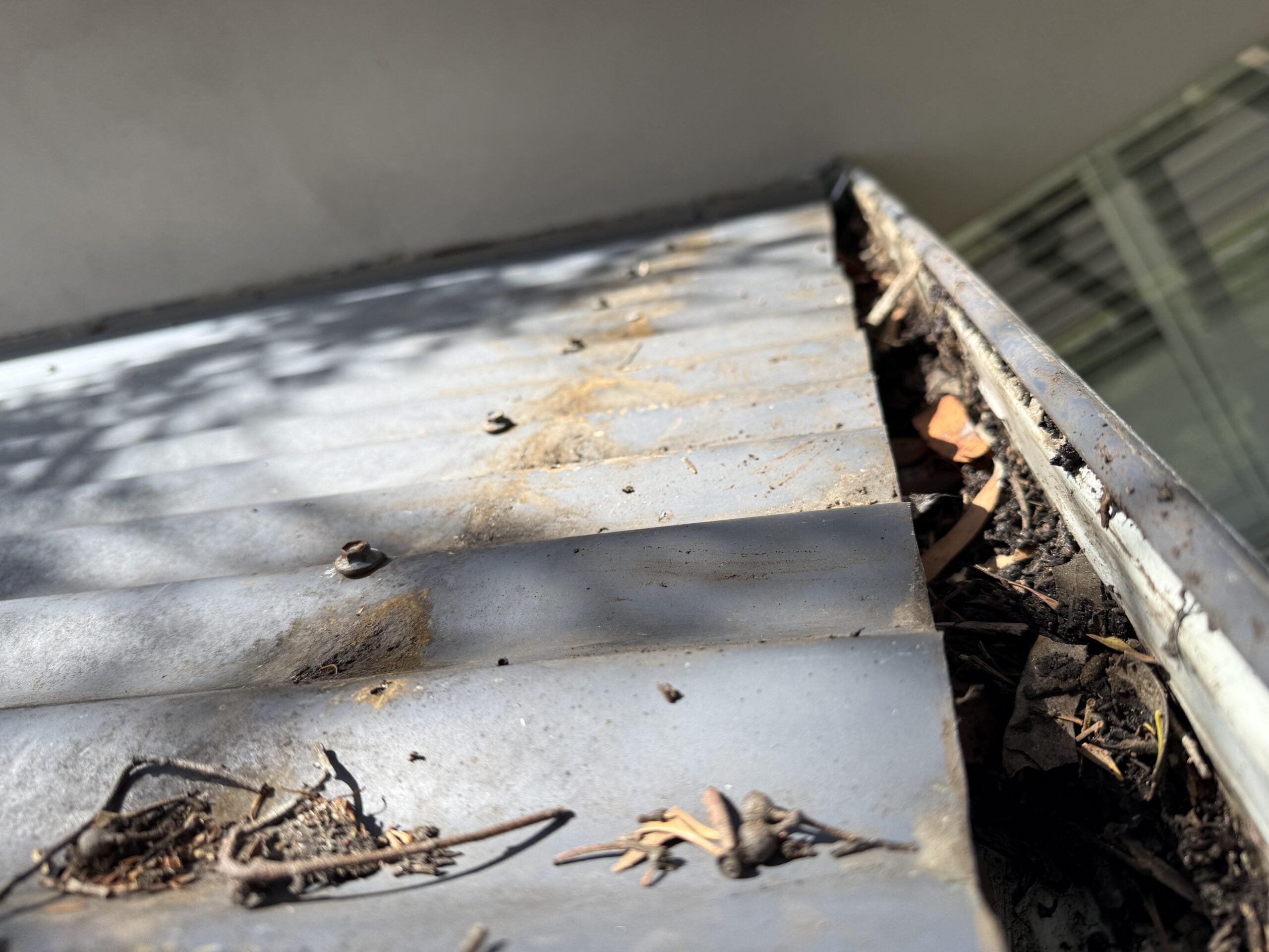Close-up of a metal roof with dirt, dried leaves, and debris collected along the edge; a gutter filled with more debris is visible on the right side.