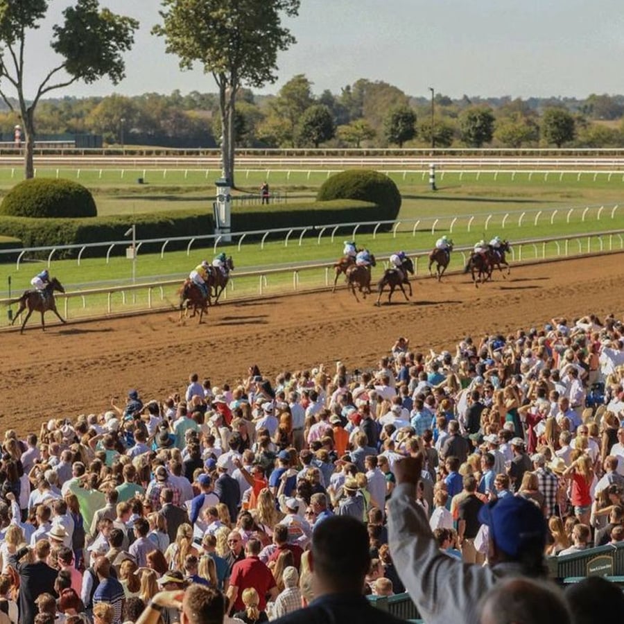 A large crowd watches a horse race at a racetrack on a sunny day. Several horses with jockeys are running on the dirt track, with trees and a clear sky in the background.