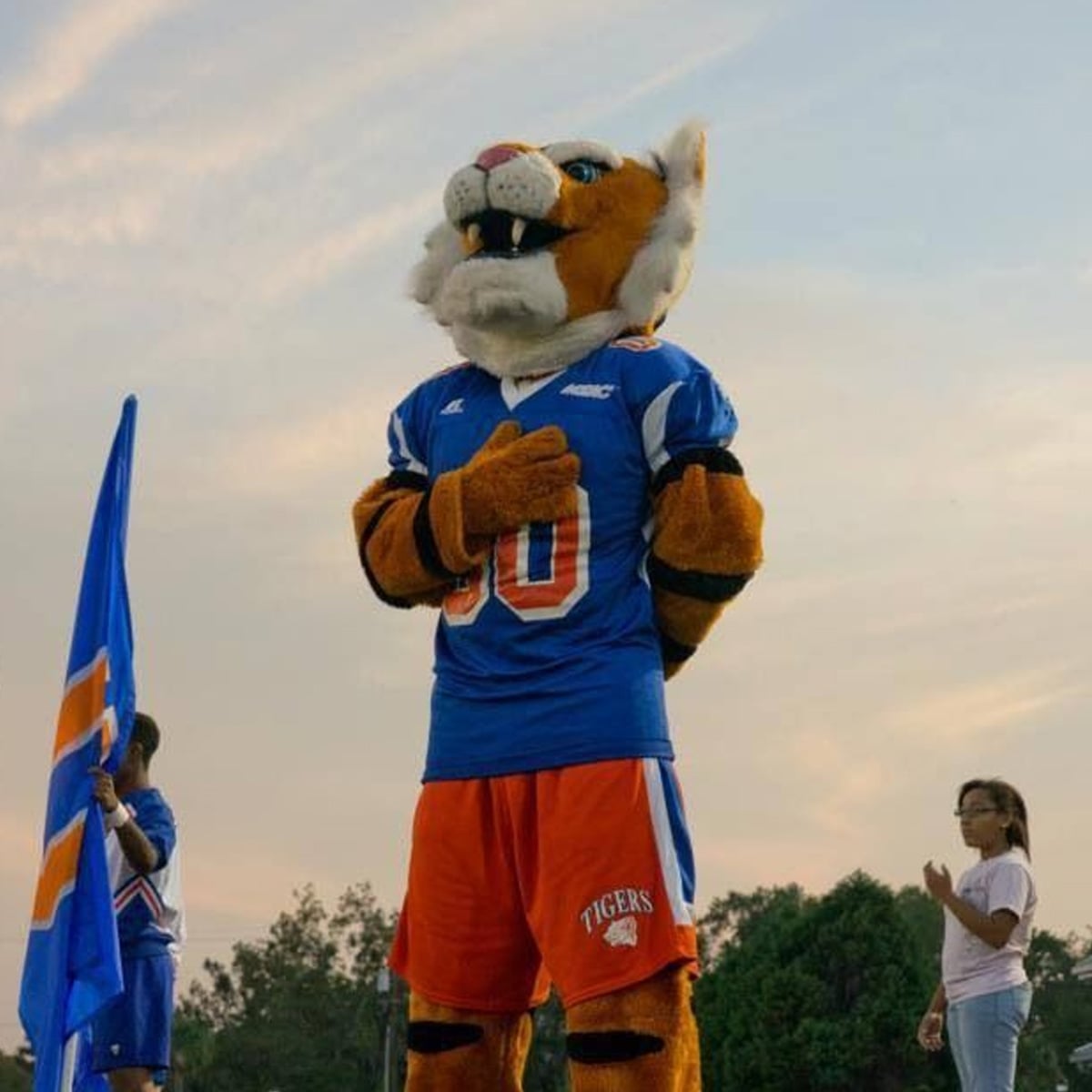 A person in a tiger mascot costume, wearing a blue sports jersey and orange shorts, stands with one hand on their chest. Others with flags and casual clothes are nearby, with trees and a cloudy sky in the background.