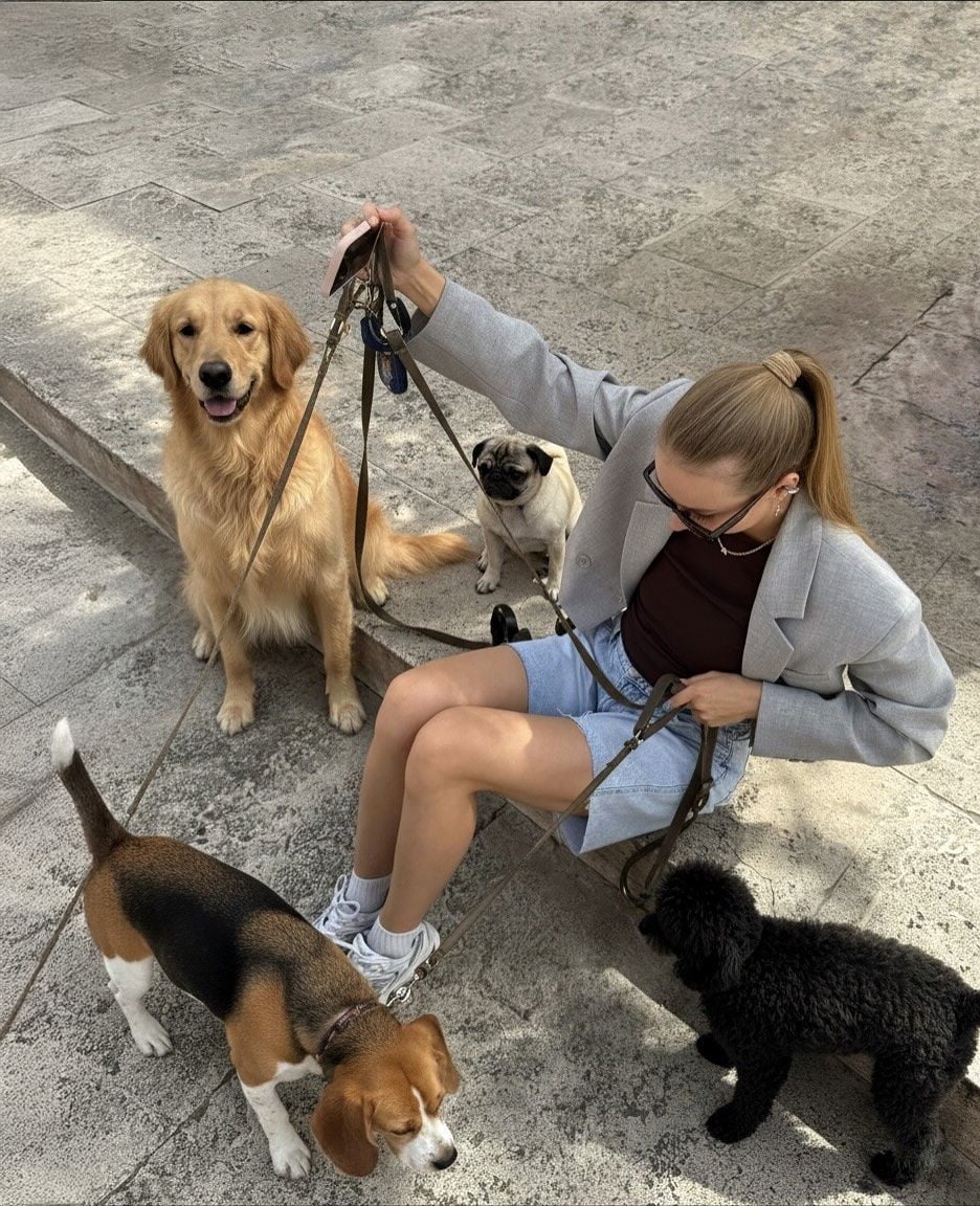 A woman in sunglasses sits on a curb, holding leashes for four dogs: a Golden Retriever, a Pug, a Beagle, and a small black dog. The scene is outdoors on a stone-paved surface.
